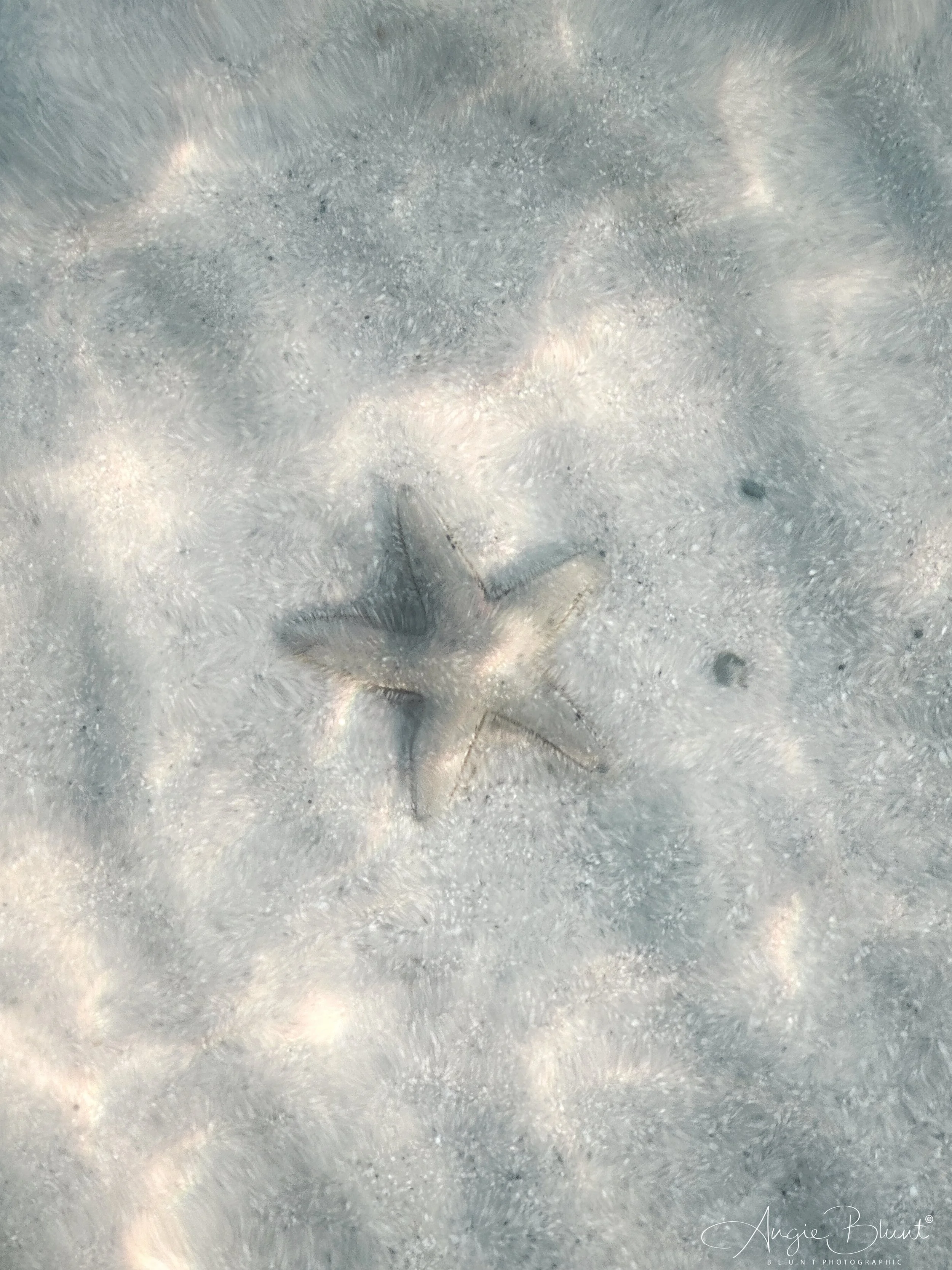 eZy Watermark_28-02-2023_08-23-11PM.JPG