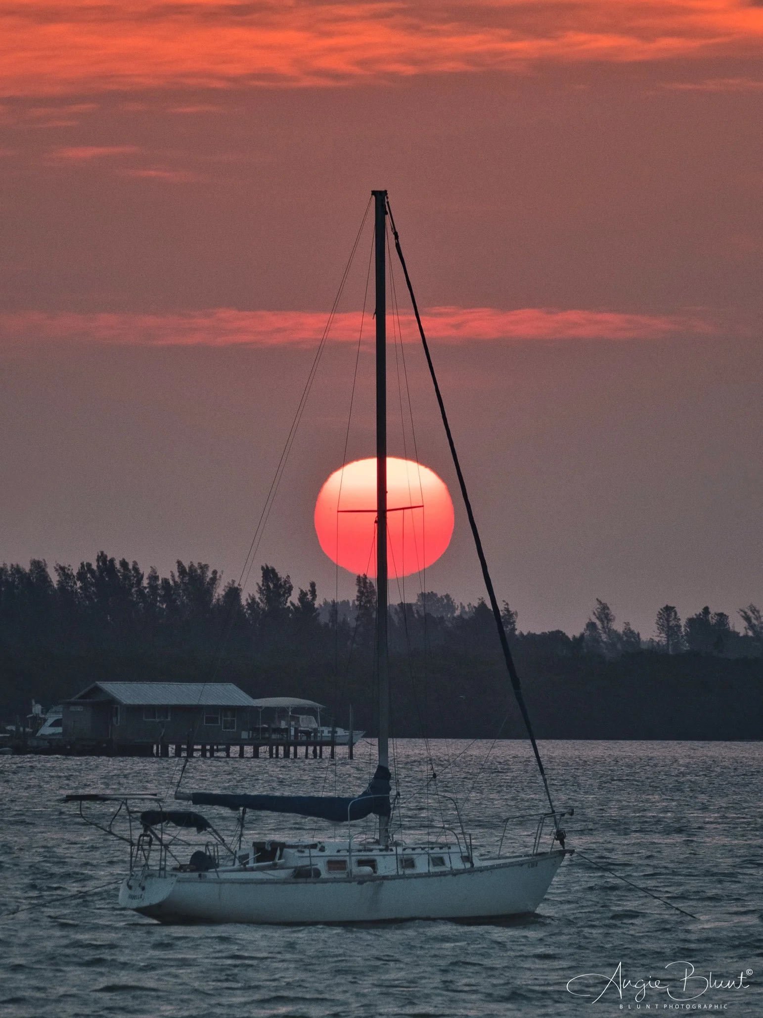 eZy Watermark_04-03-2023_08-12-30AM.JPG