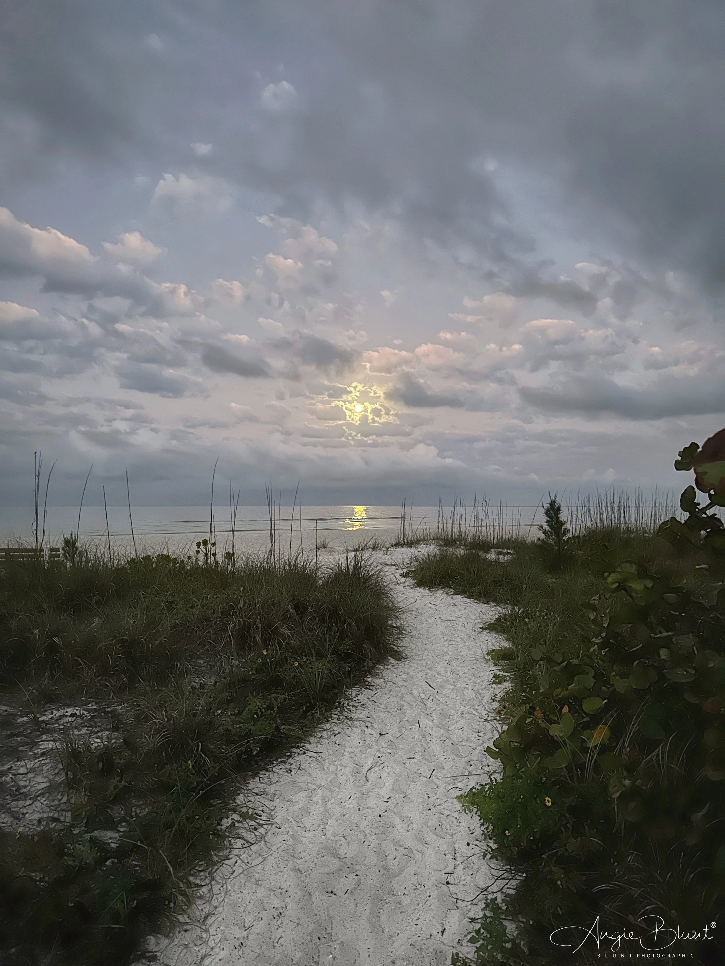 eZy Watermark_07-03-2023_06-56-58AM.JPG