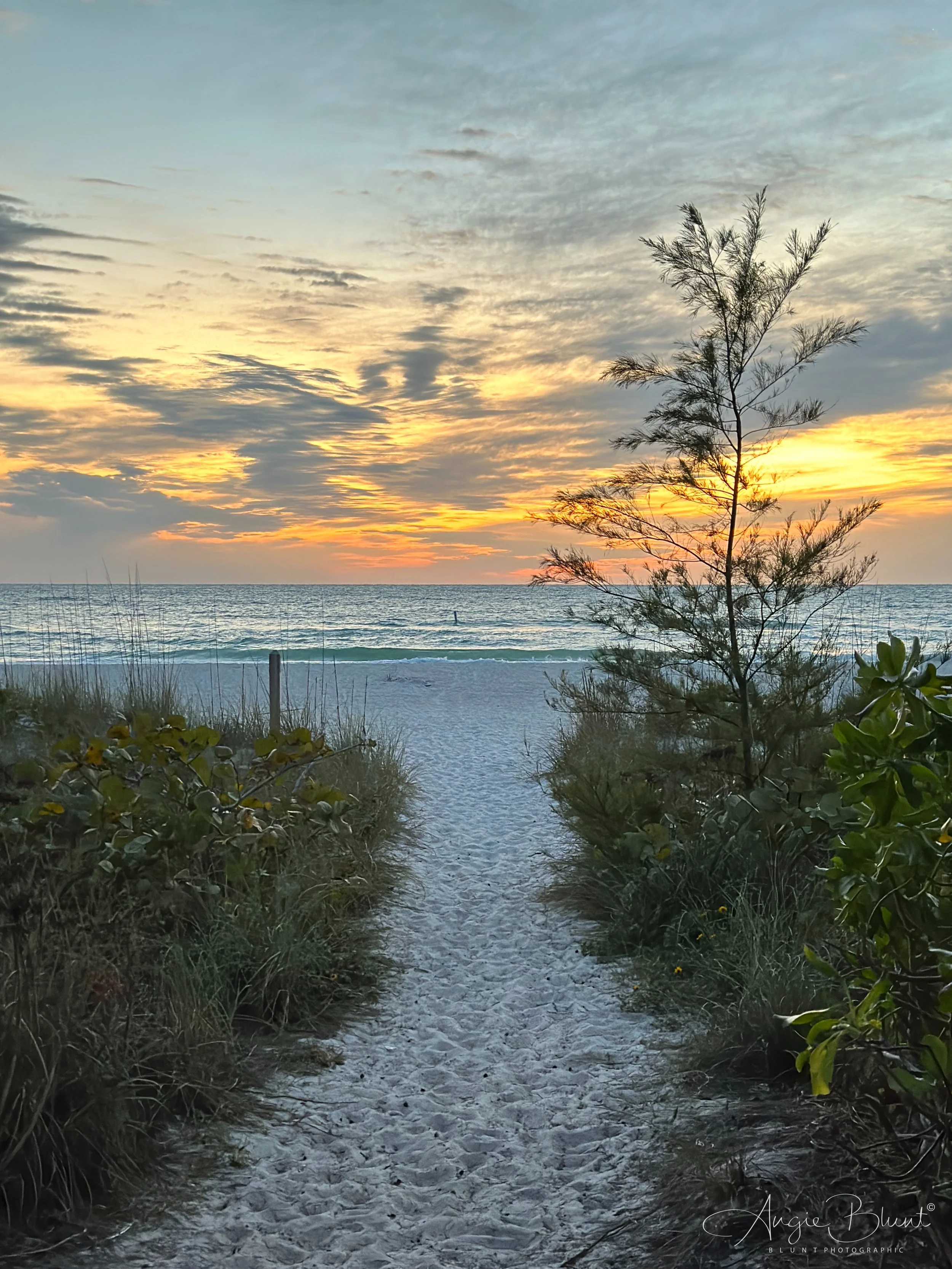 eZy Watermark_17-03-2023_09-02-01AM.JPG