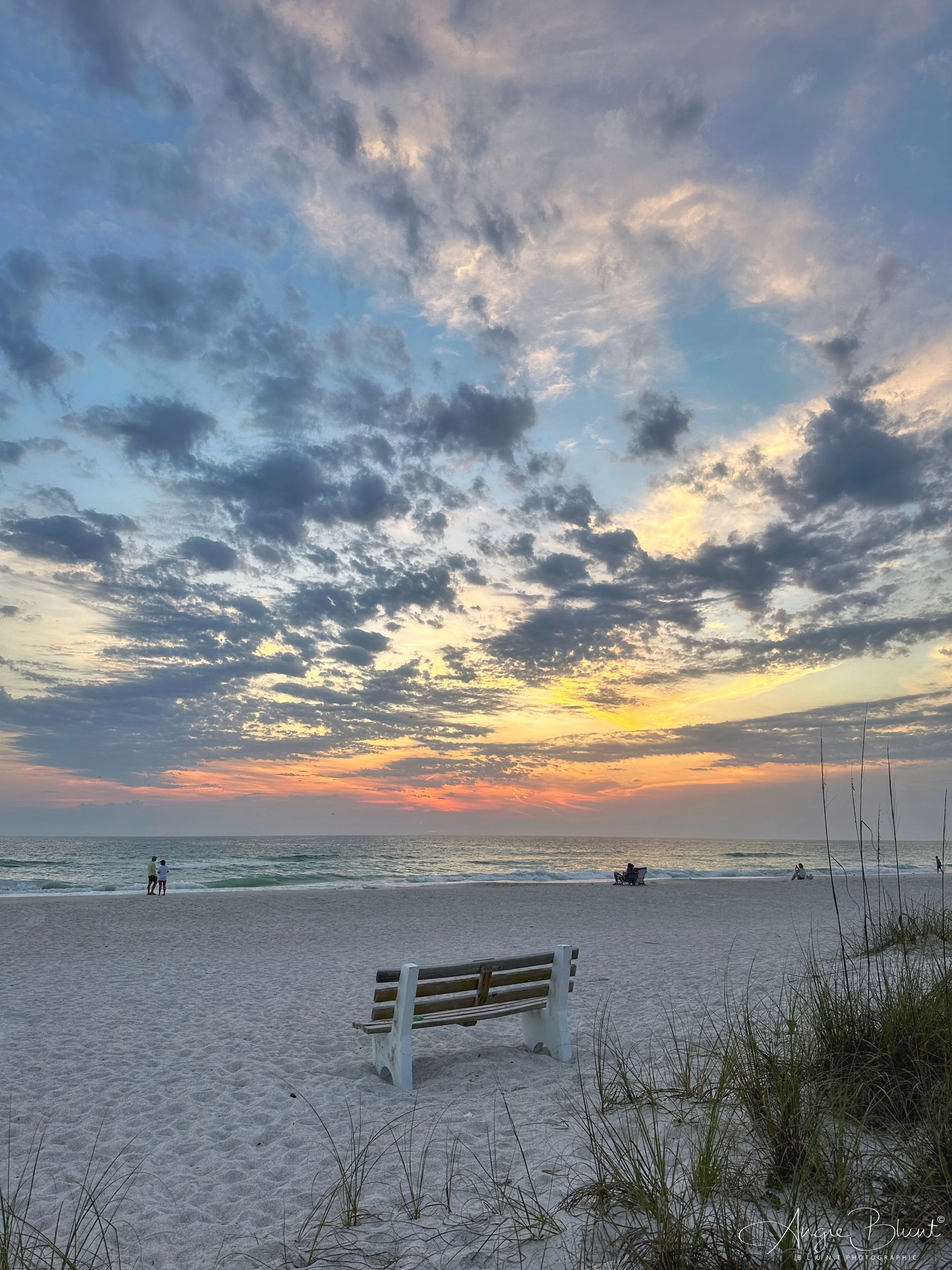 eZy Watermark_28-03-2023_07-57-45PM.JPG