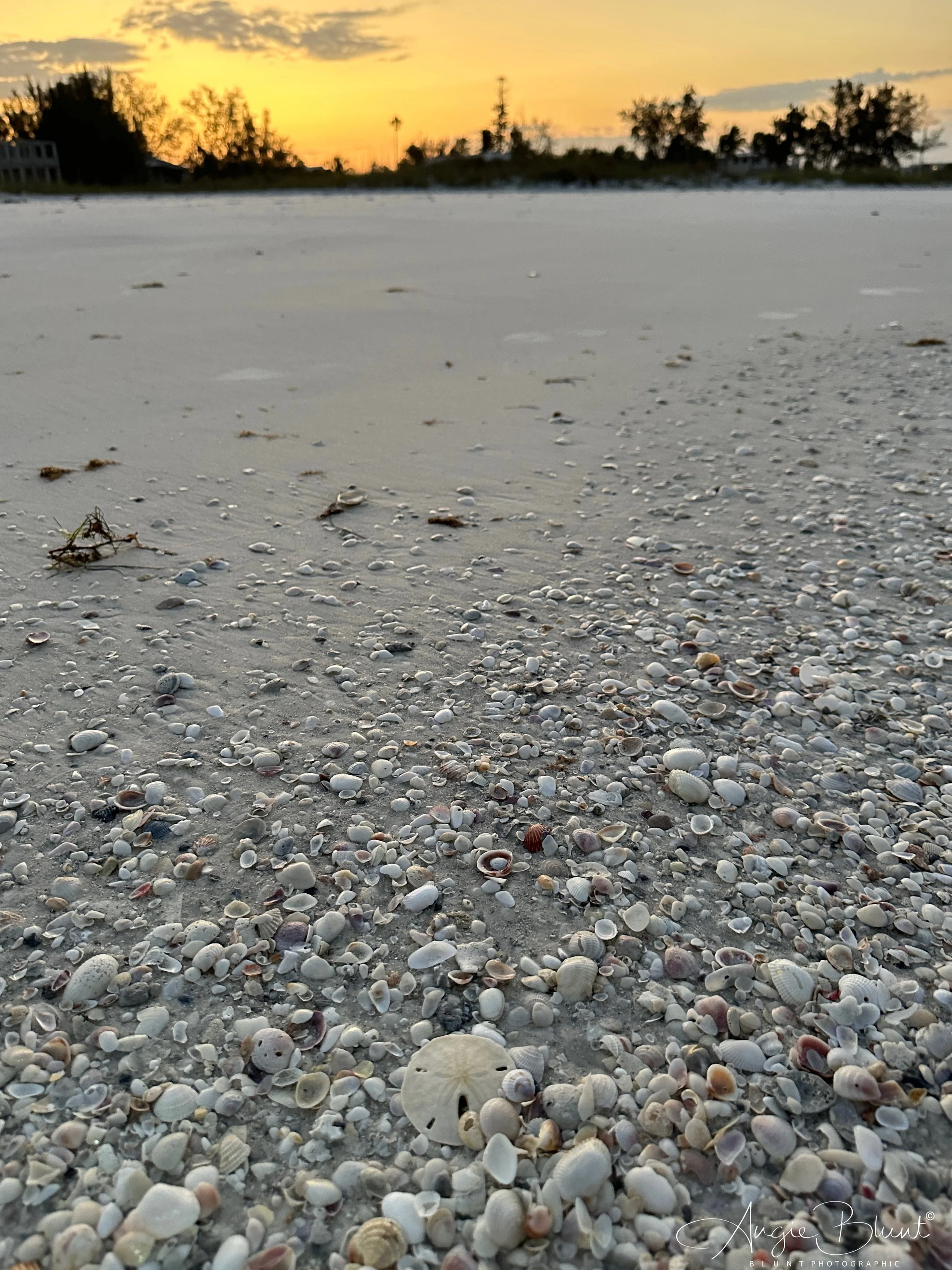 eZy Watermark_30-03-2023_05-55-02PM.JPG