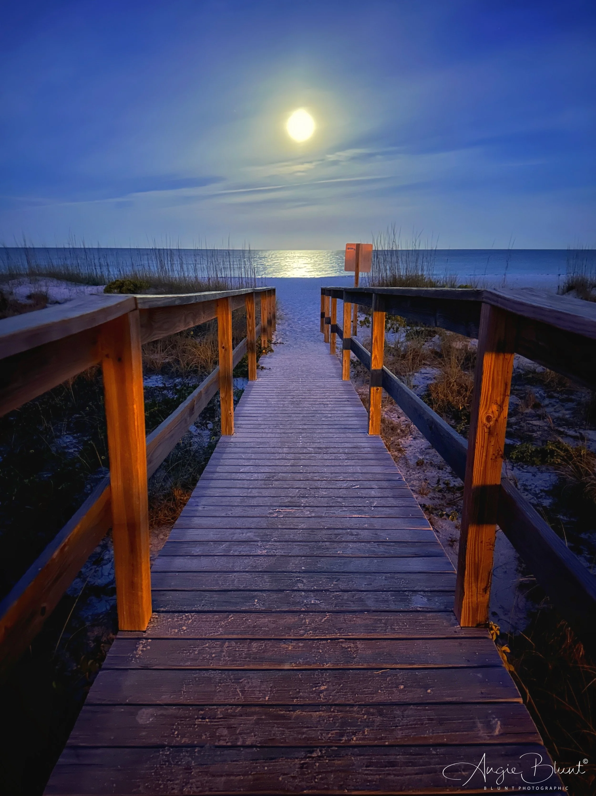 eZy Watermark_06-04-2023_08-09-00AM.JPG