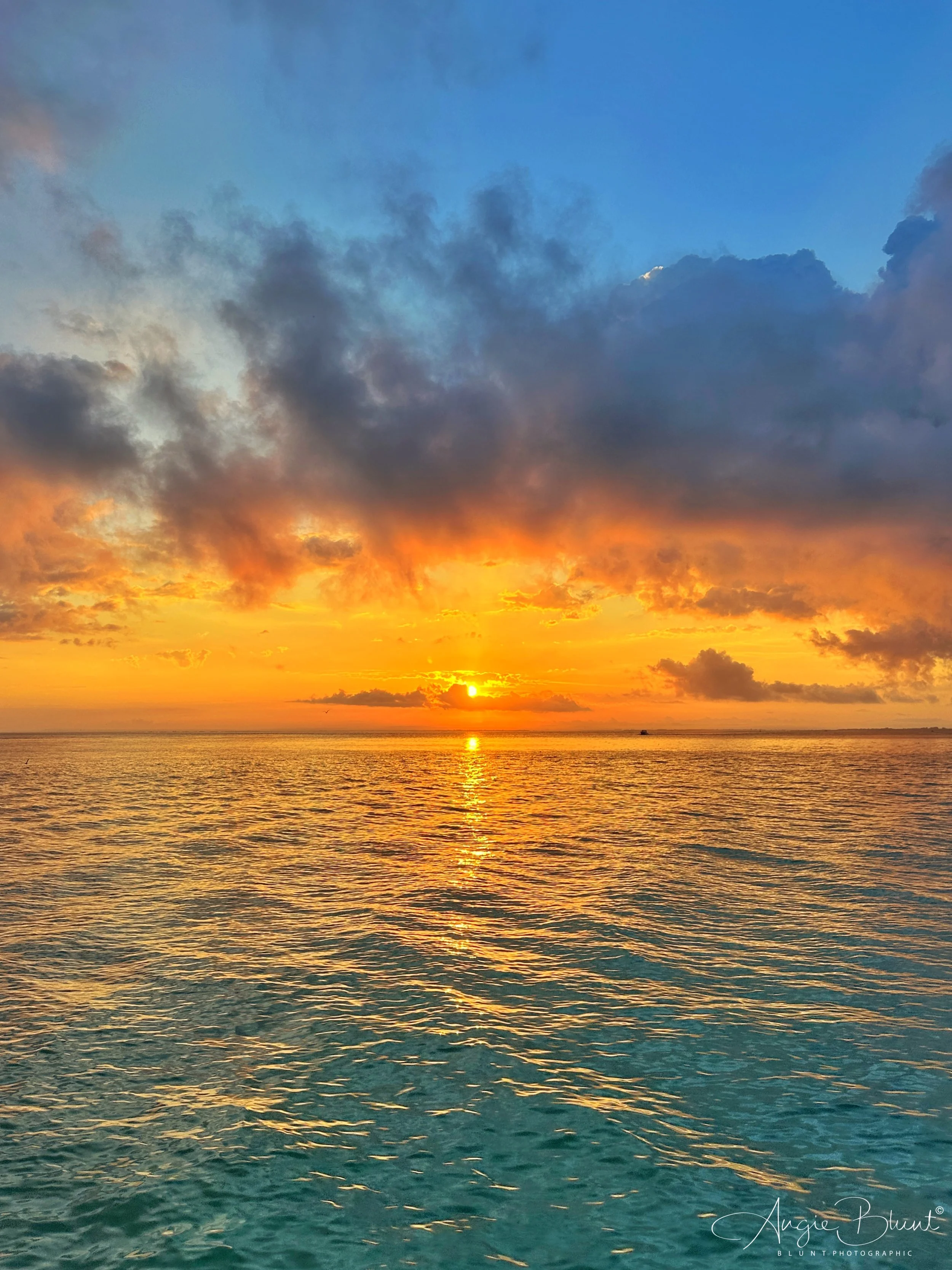 eZy Watermark_14-04-2023_09-38-26PM.JPG