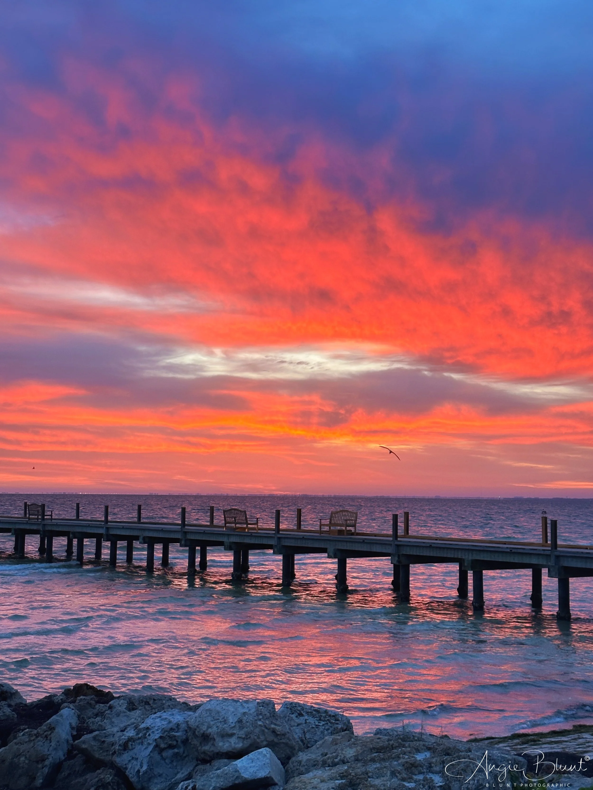 eZy Watermark_19-04-2023_07-11-40-1950AM.JPG