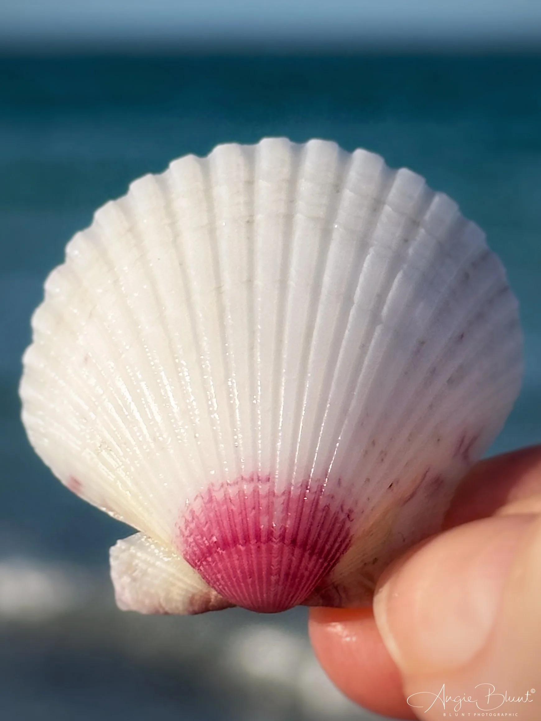 eZy Watermark_08-05-2023_09-13-37-7570PM.JPG