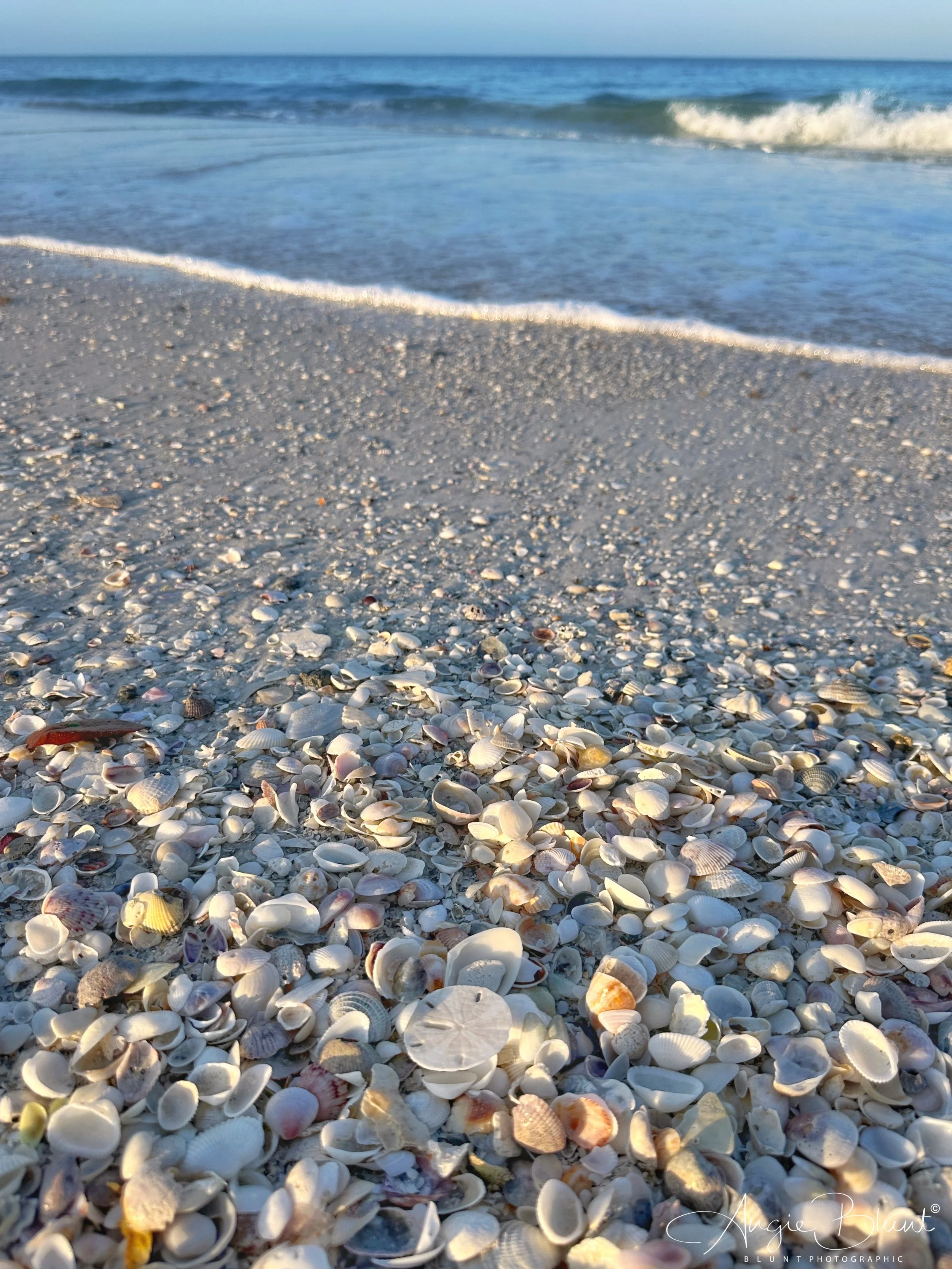 eZy Watermark_13-05-2023_08-33-04-6730AM.JPG