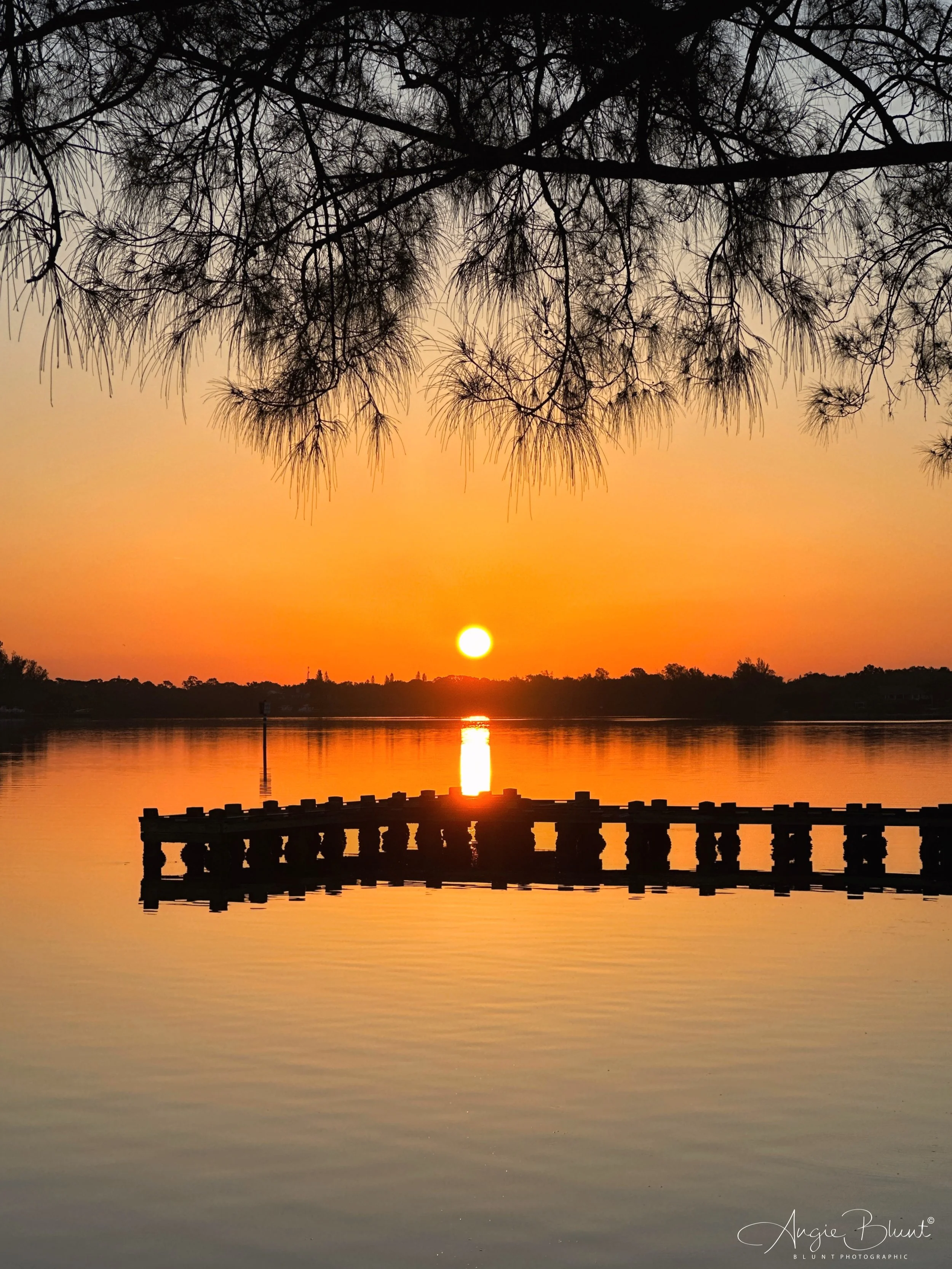 eZy Watermark_19-05-2023_07-12-00-0540AM.JPG