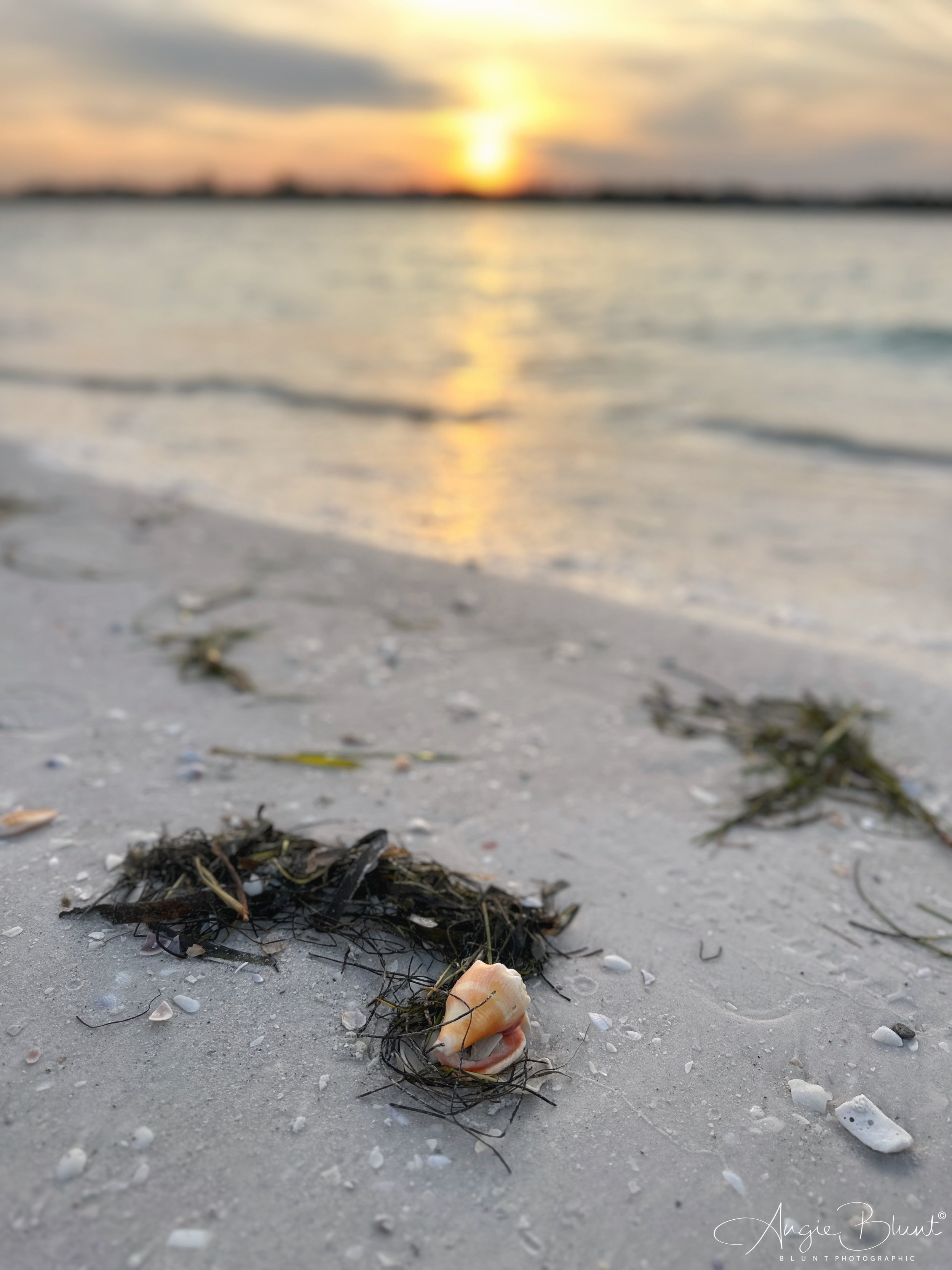 eZy Watermark_30-05-2023_07-37-28-6460AM.JPG