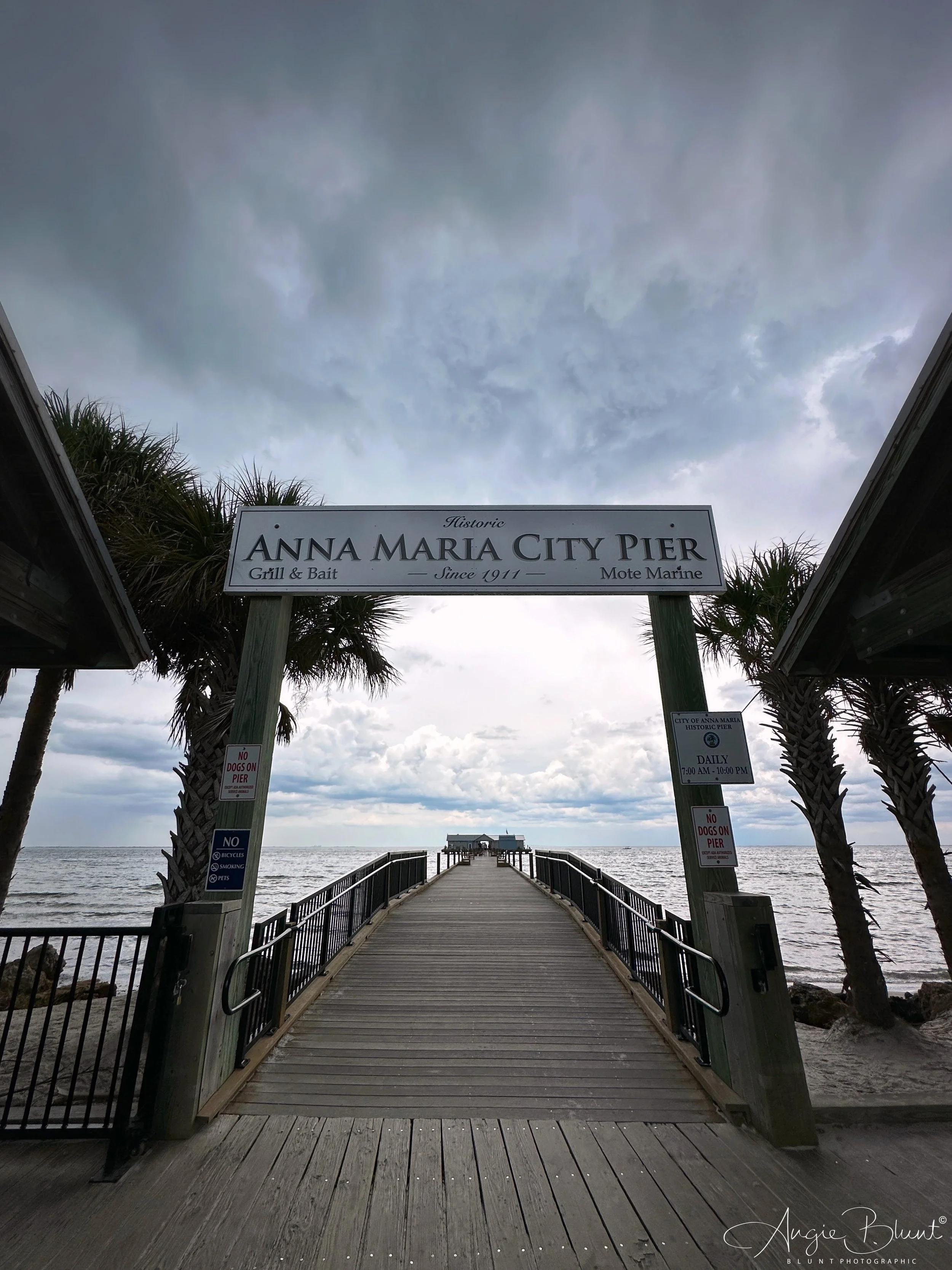 eZy Watermark_31-05-2023_03-27-47-3420PM.JPG