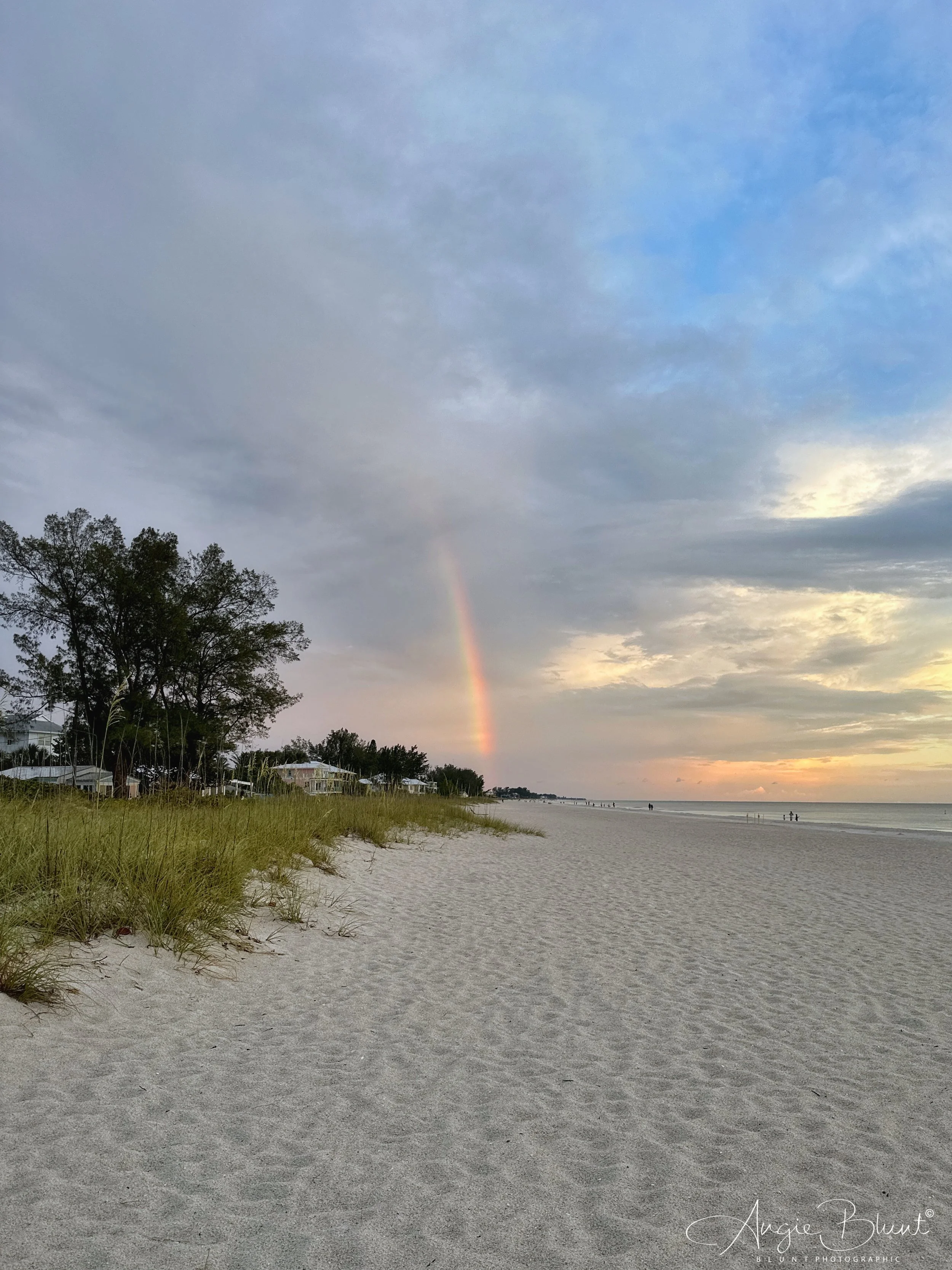 eZy Watermark_01-06-2023_07-30-12-9720AM.JPG