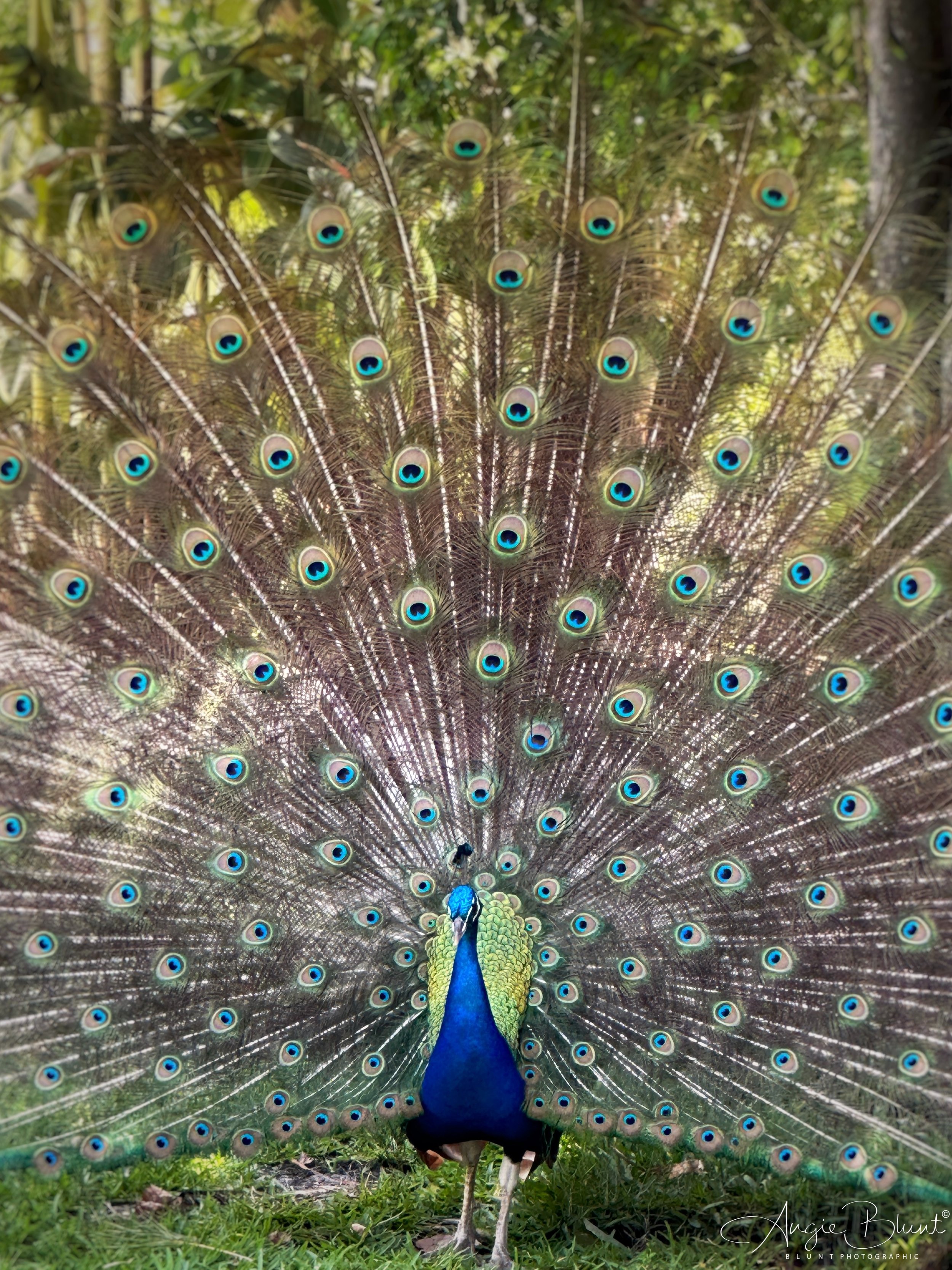 eZy Watermark_29-04-2023_07-53-41-9200AM.JPG