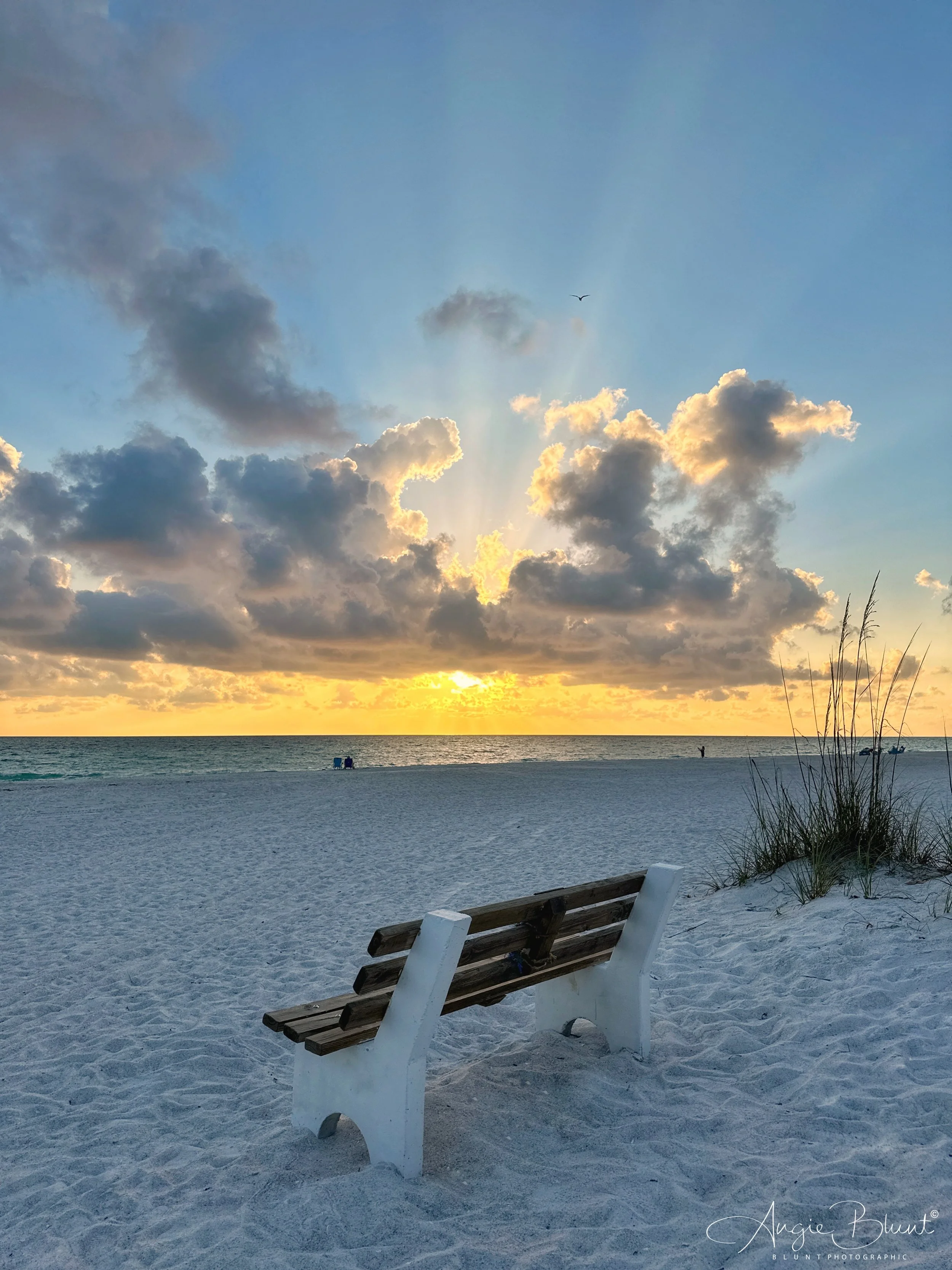 eZy Watermark_17-05-2023_09-34-46-5110PM.JPG