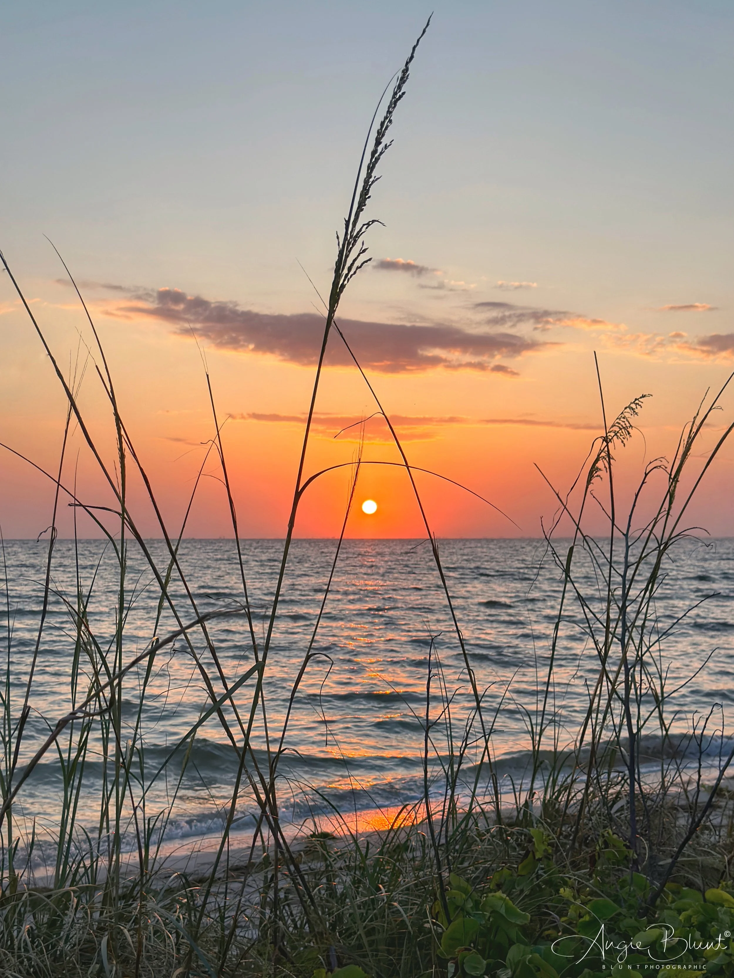 eZy Watermark_06-06-2023_07-18-24-6620AM.JPG