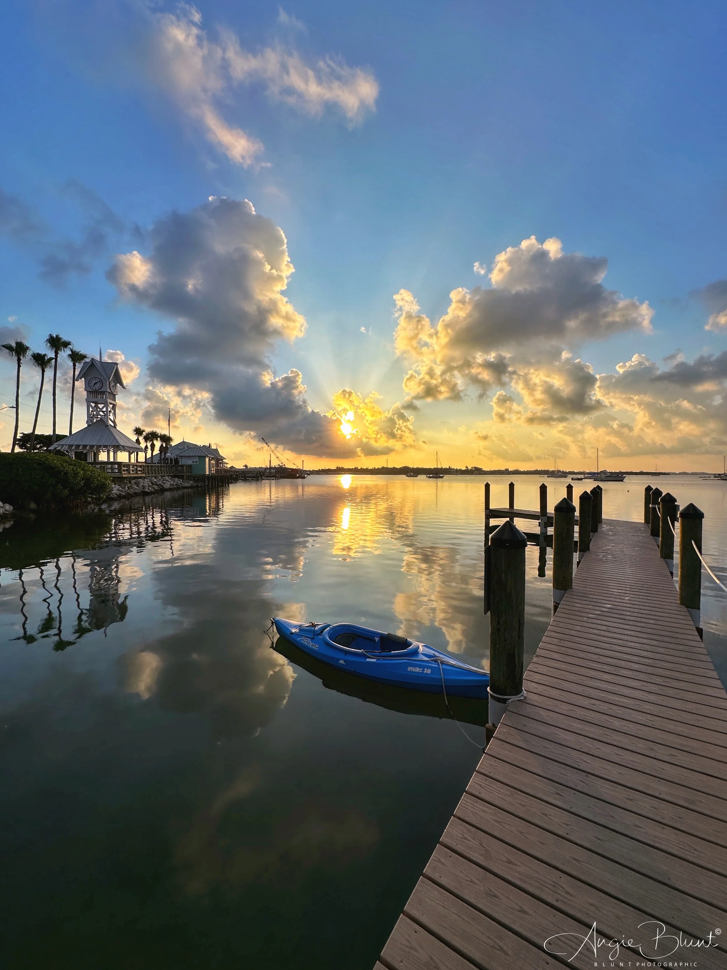 eZy Watermark_14-06-2023_08-39-02-0870PM.JPG