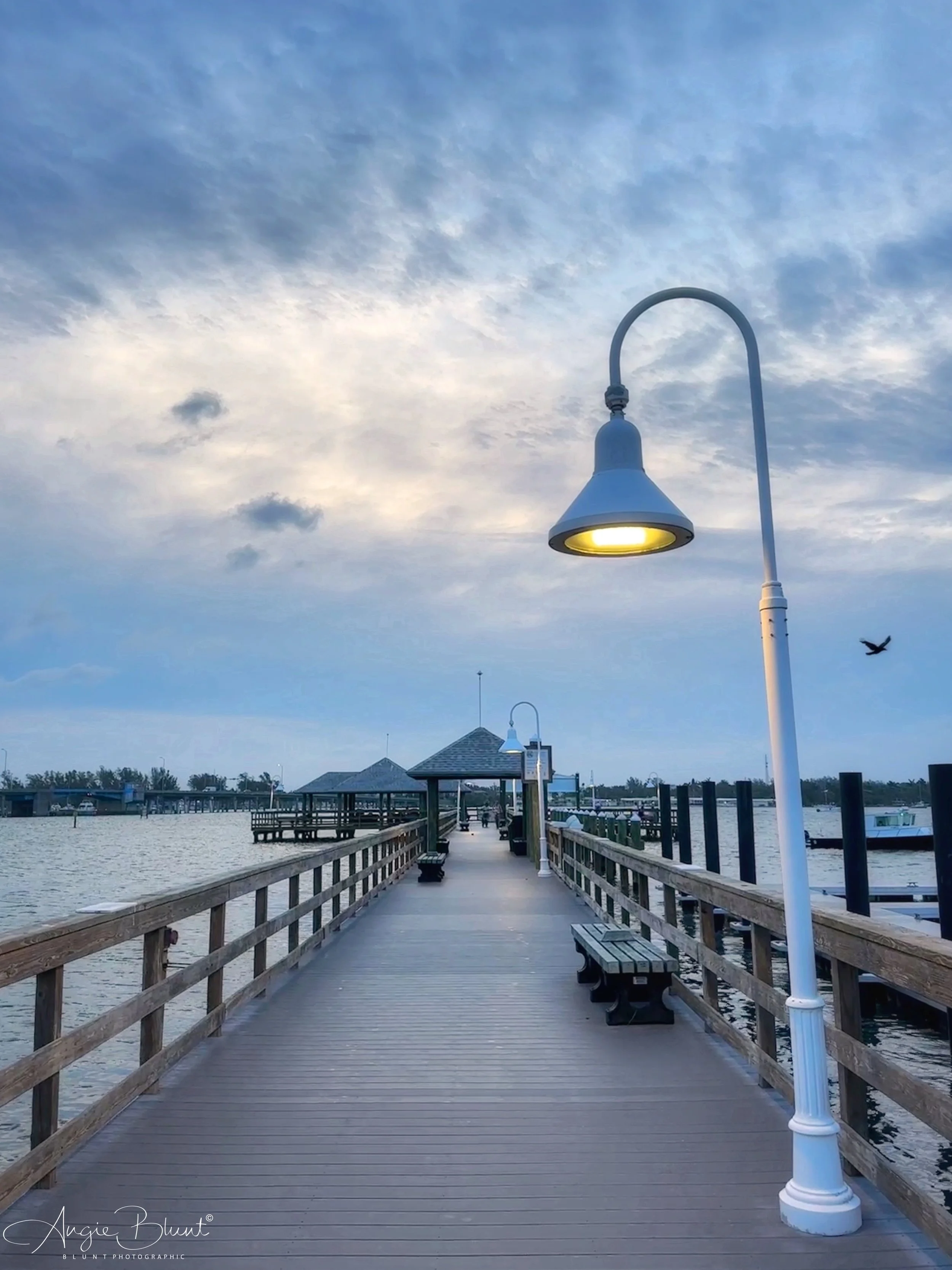 eZy Watermark_16-06-2023_07-07-48-9000AM.JPG