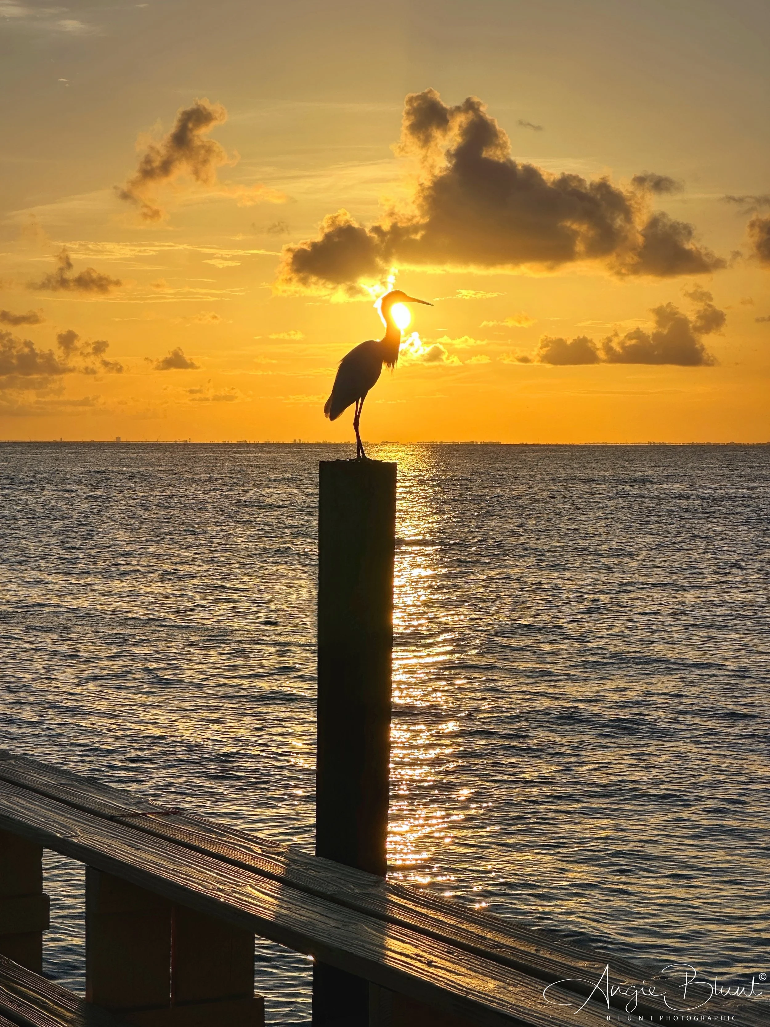 eZy Watermark_07-07-2023_08-12-55-8580AM.JPG