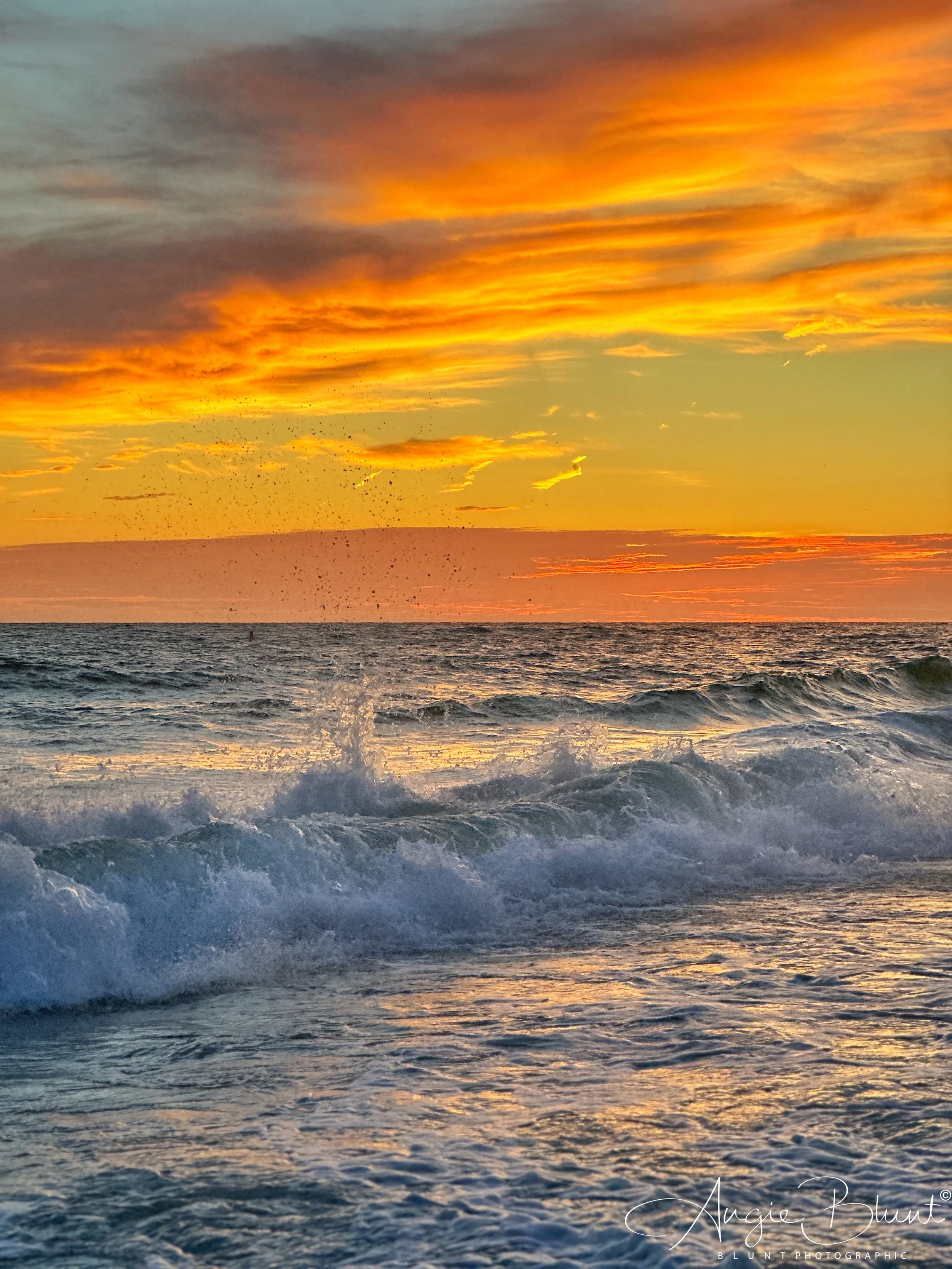 eZy Watermark_08-07-2023_08-55-01-7640PM.JPG