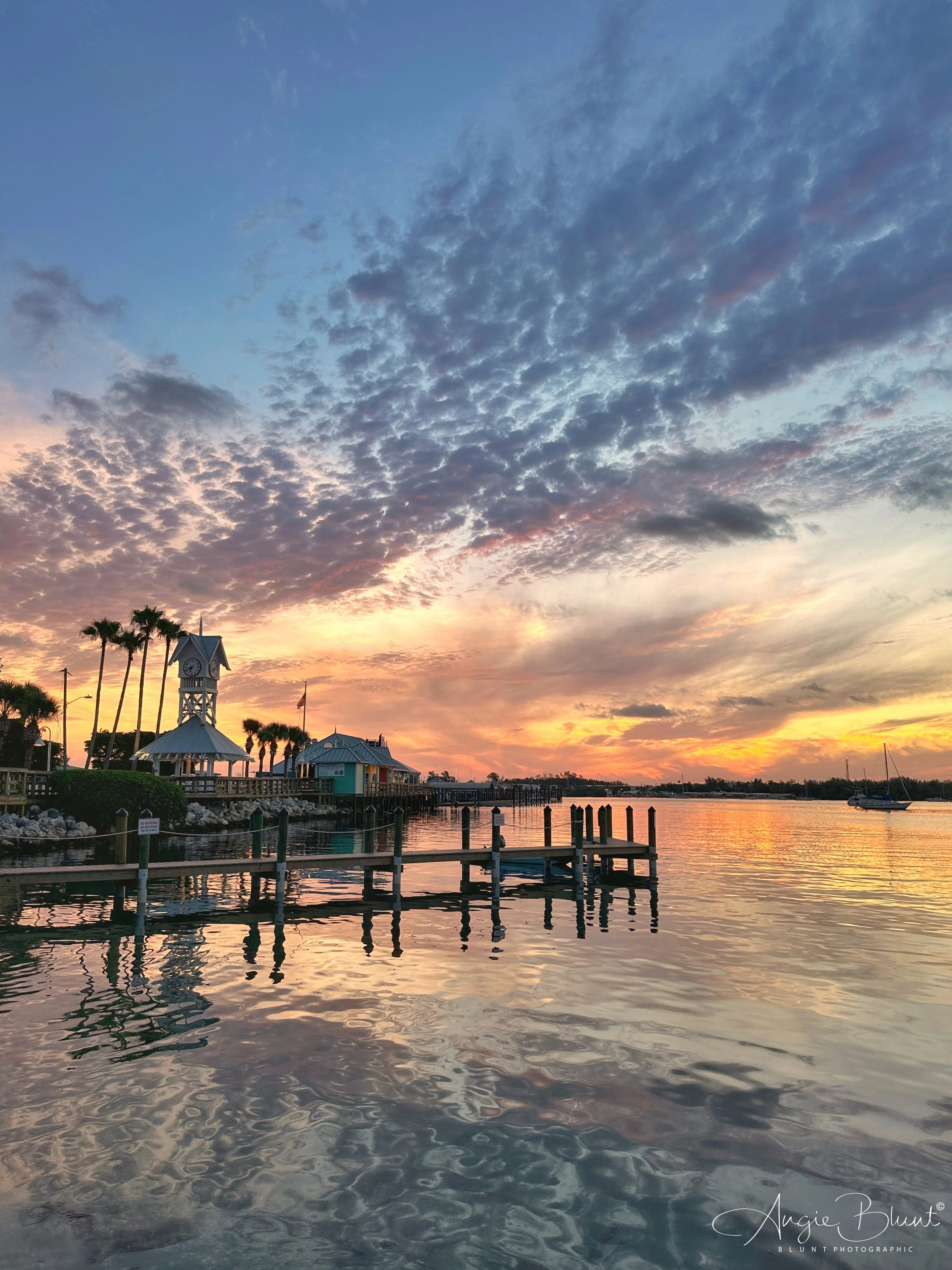 eZy Watermark_15-07-2023_08-36-03-6950AM.JPG