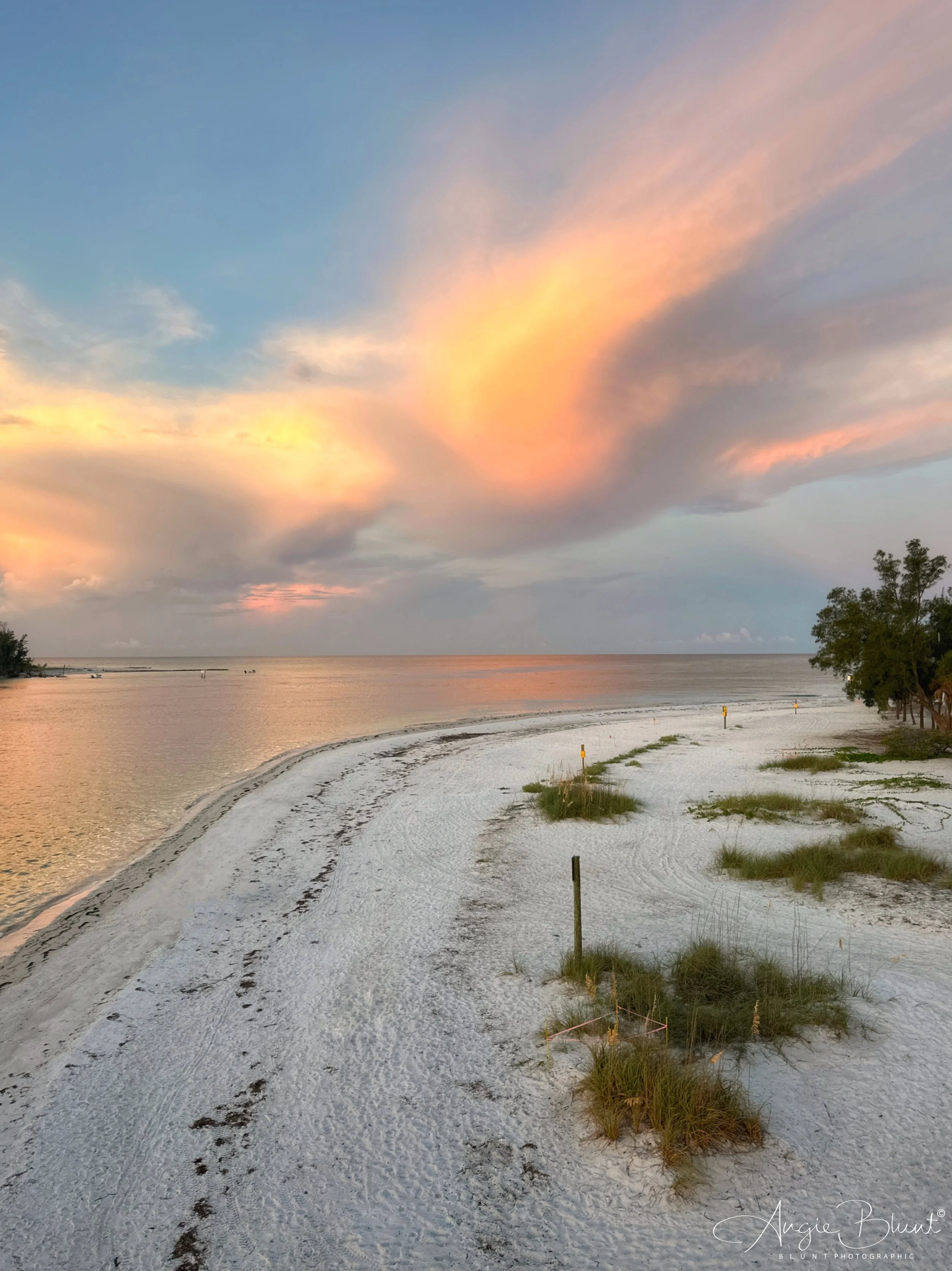 eZy Watermark_19-07-2023_08-10-31-2180AM.JPG