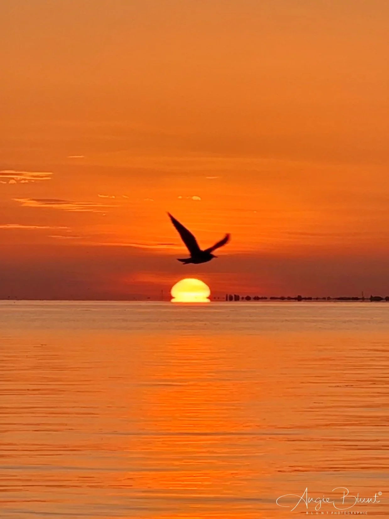 eZy Watermark_21-07-2023_07-46-55-1830AM.JPG