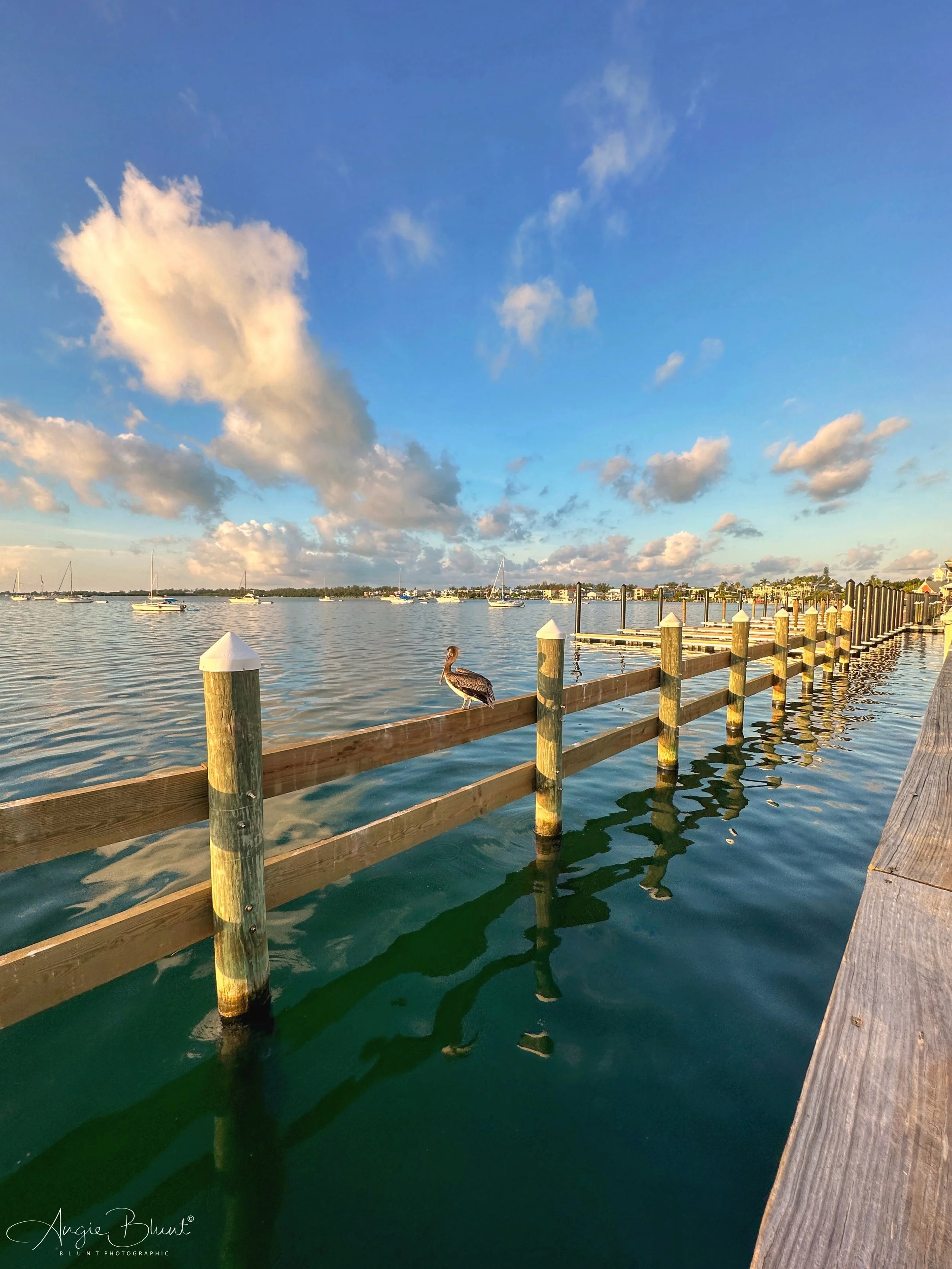 eZy Watermark_11-08-2023_08-31-48-6070AM.JPG