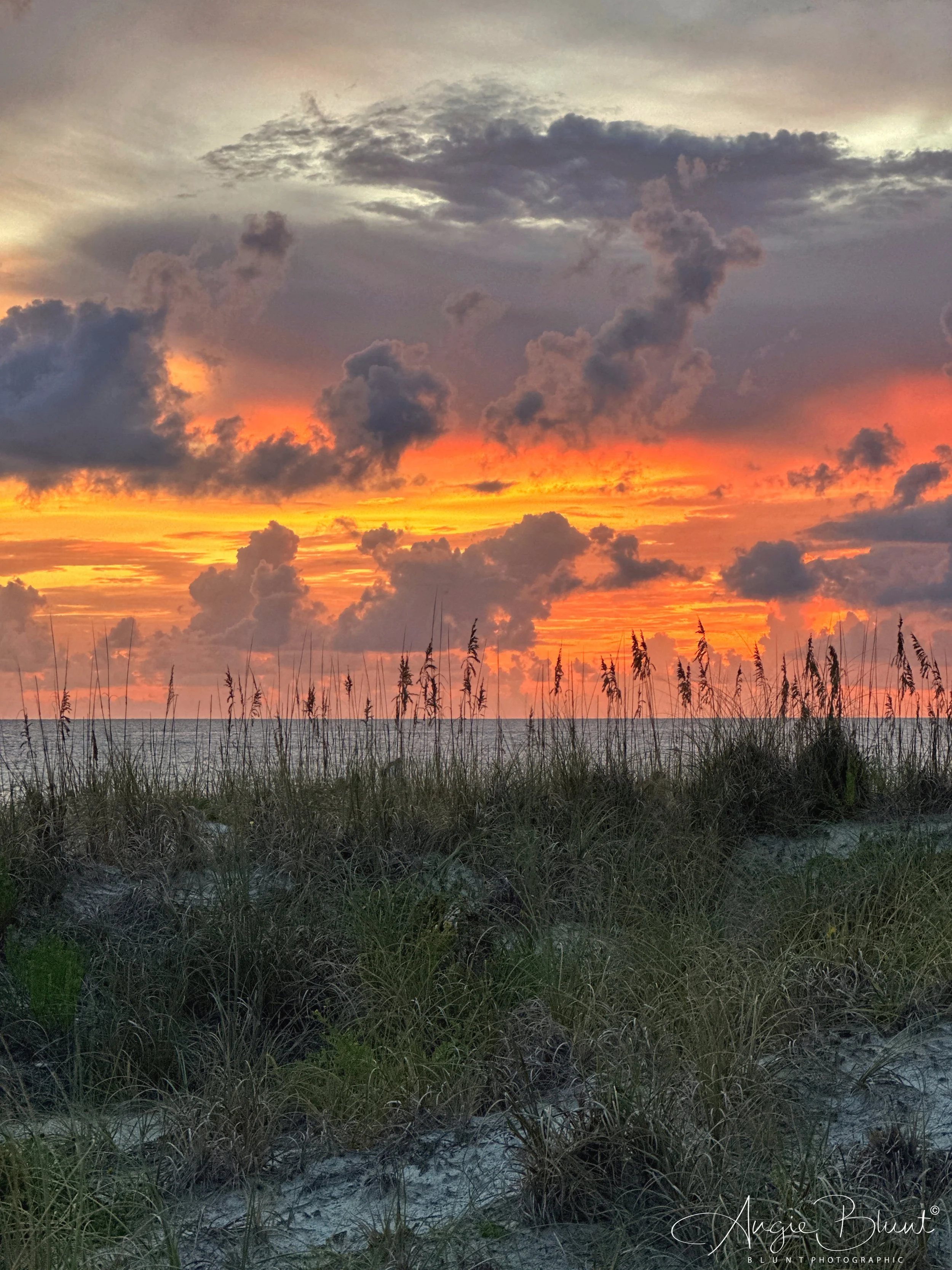 eZy Watermark_31-07-2023_08-44-28-0370PM.JPG