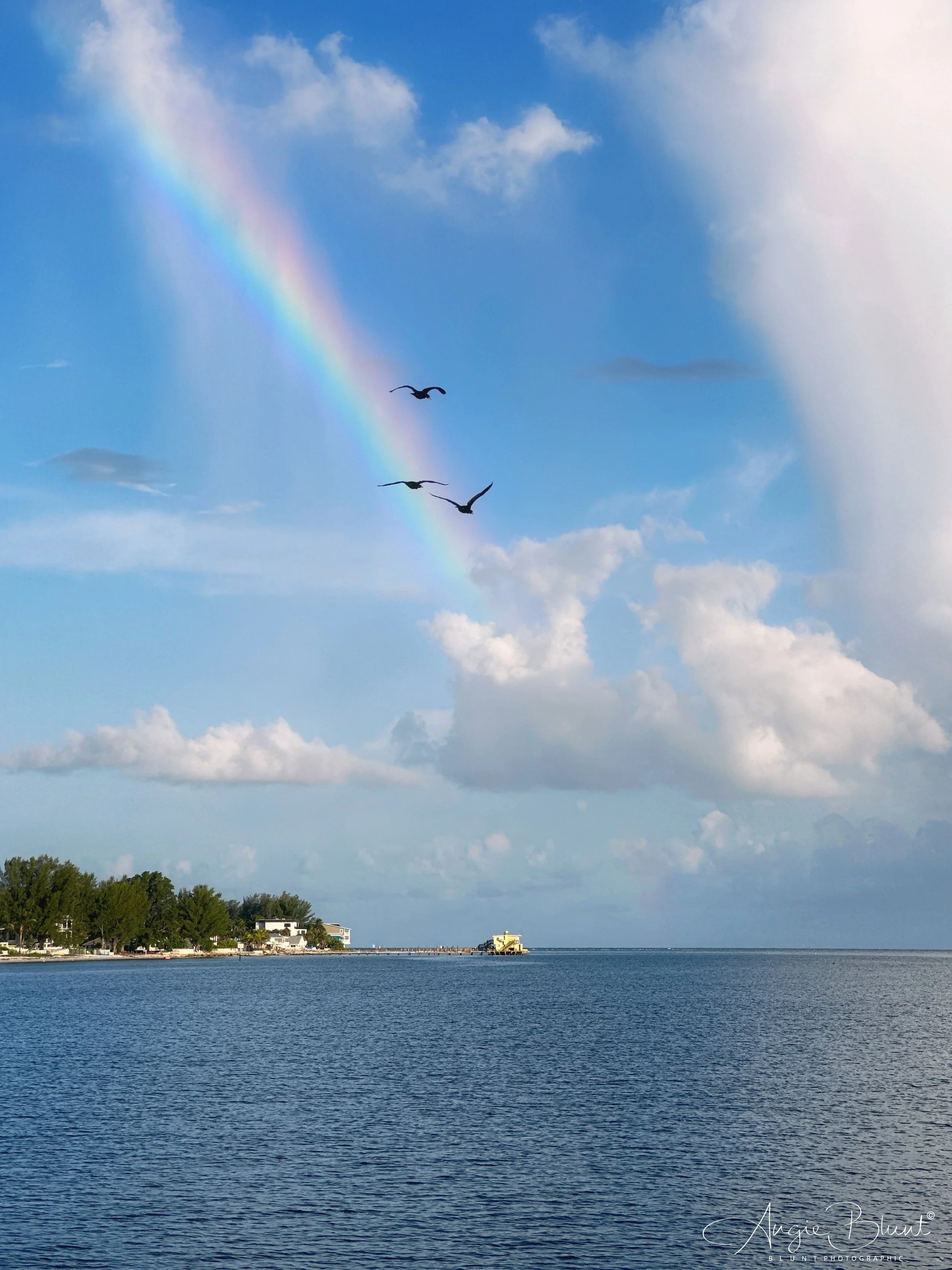 eZy Watermark_18-08-2023_08-26-56-0740AM.JPG