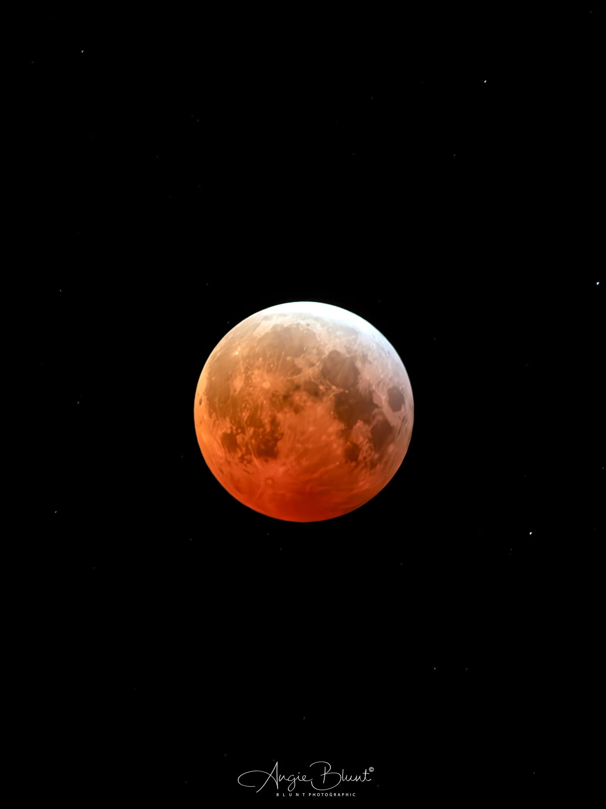 bloodwormmoonmaximumtotallunareclipse03142025.jpg