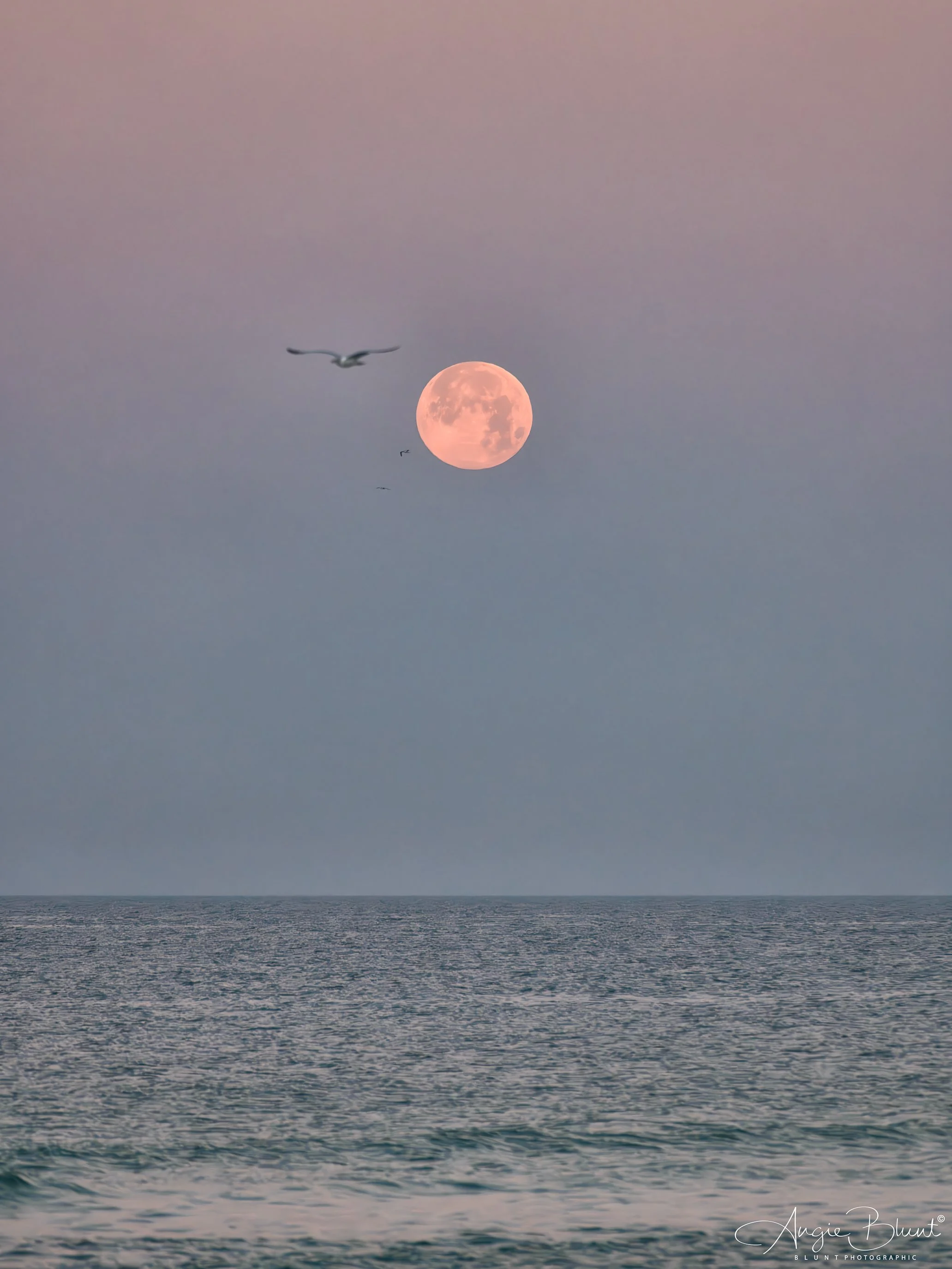 fullsnowmoonset02122025.jpg