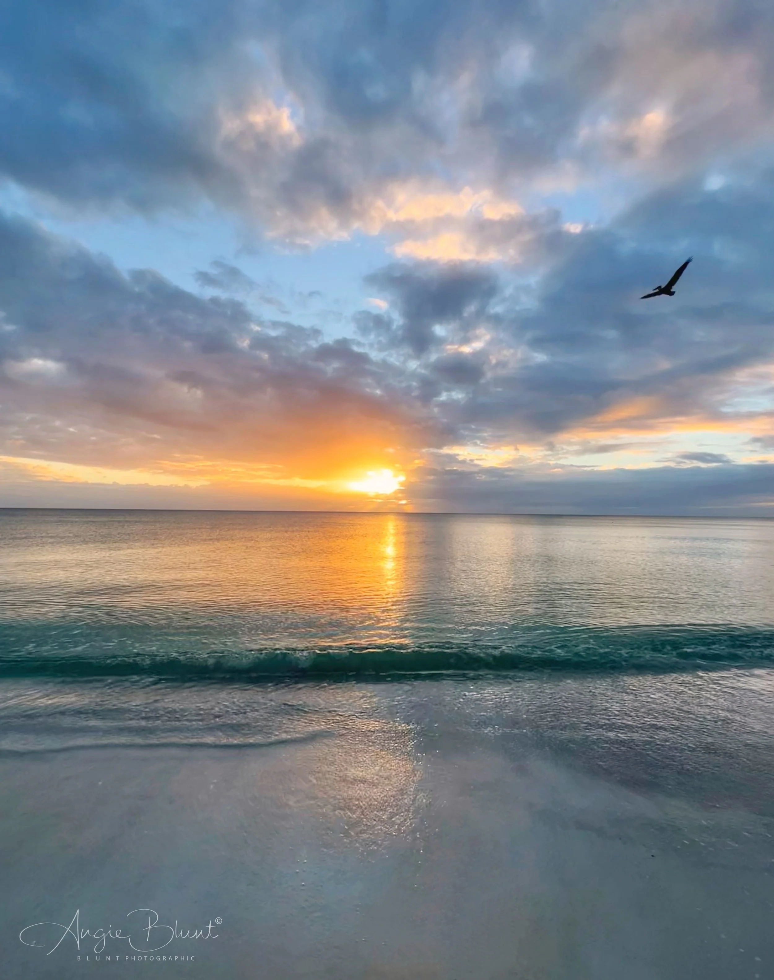 eZy Watermark_21-11-2021_10-52-22PM.JPG