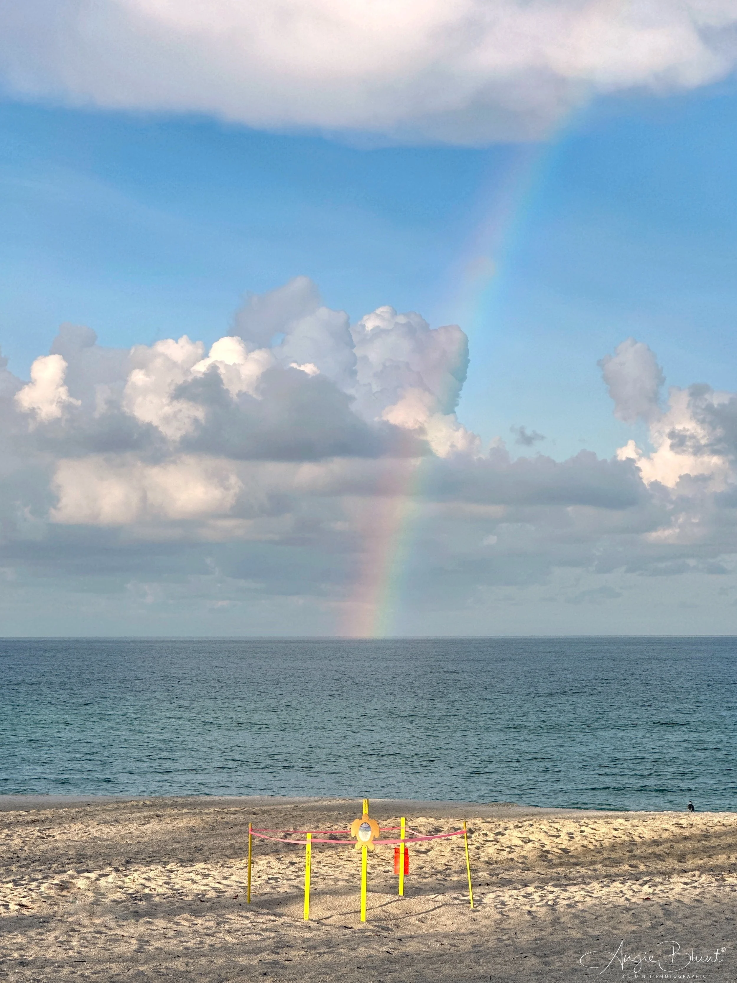 eZy Watermark_05-08-2023_08-01-36-0940AM copy.JPG