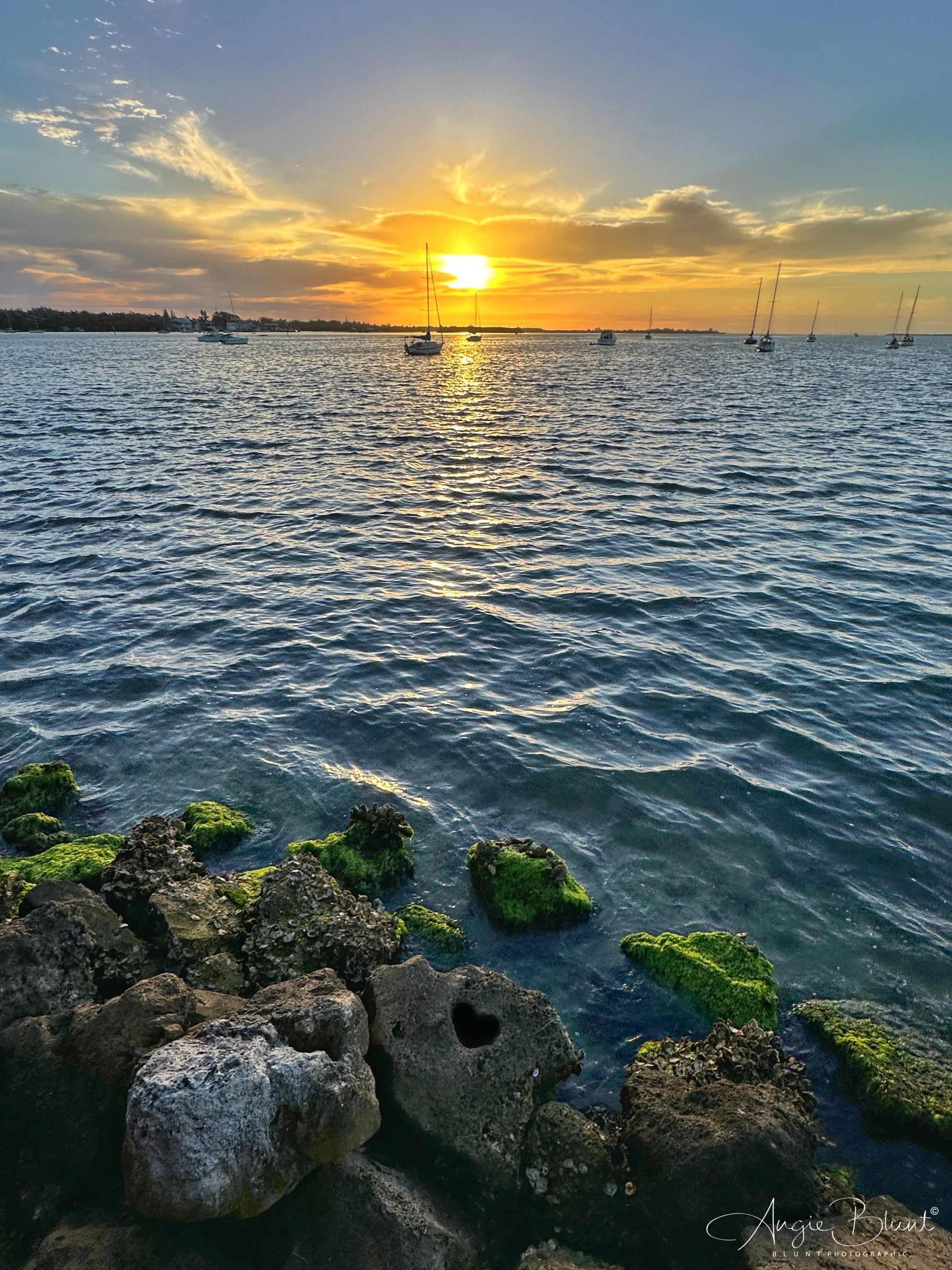 eZy Watermark_16-02-2023_08-25-44PM copy.JPG