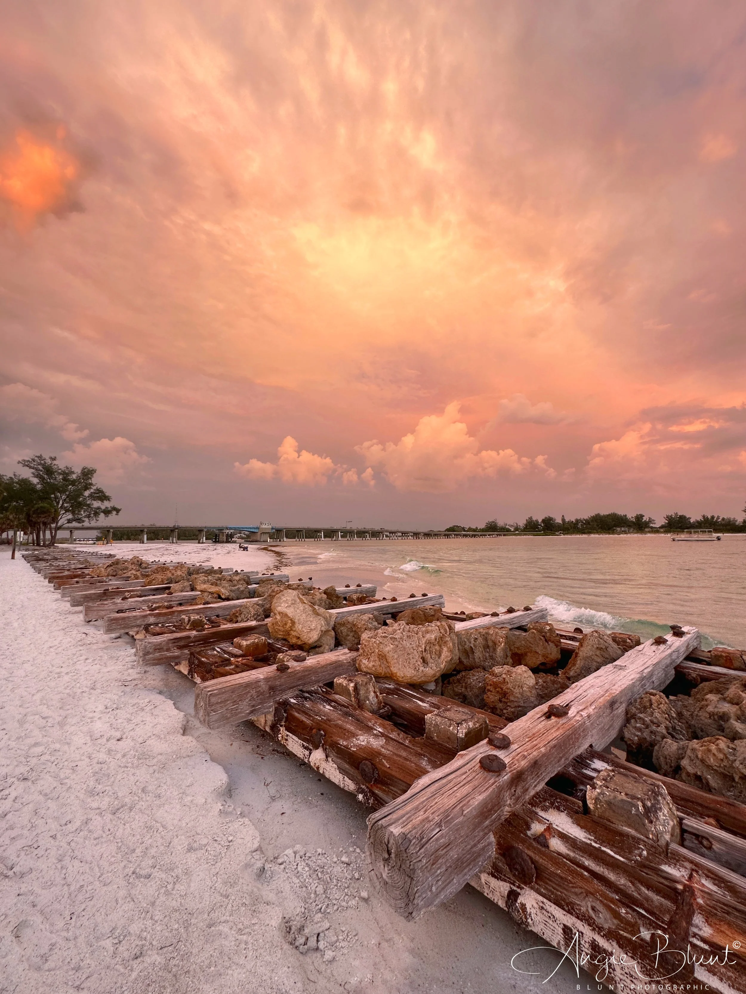 eZy Watermark_27-07-2023_07-18-39-1160AM 2.JPG