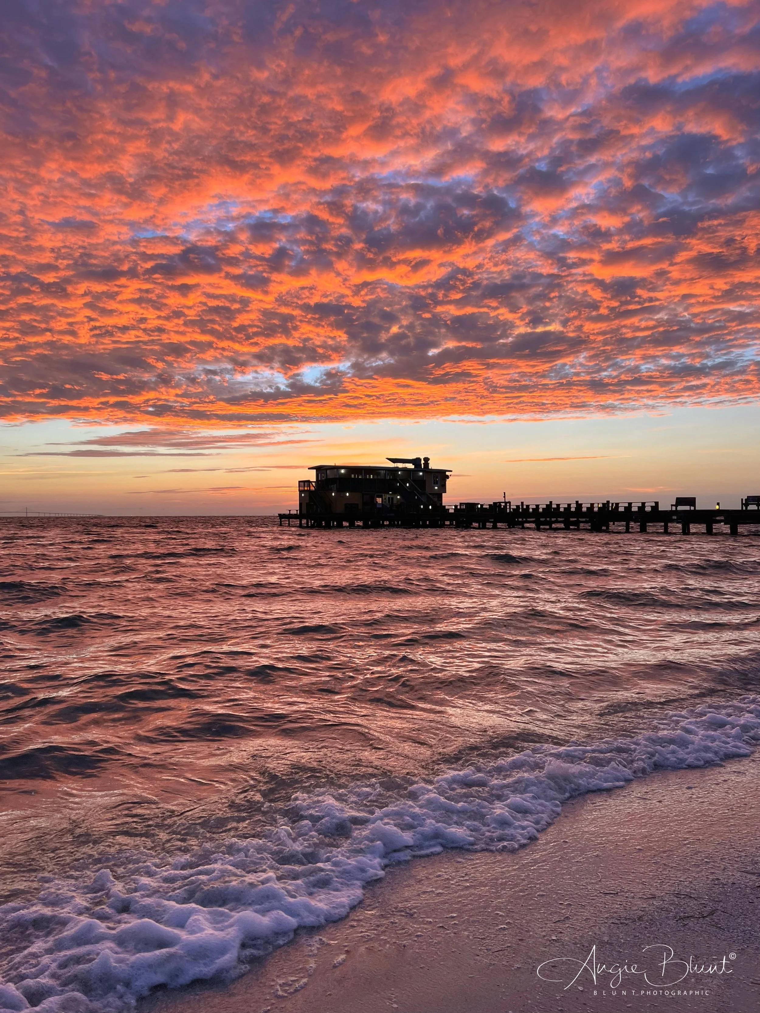 eZy Watermark_16-07-2022_08-05-03AM copy.JPG