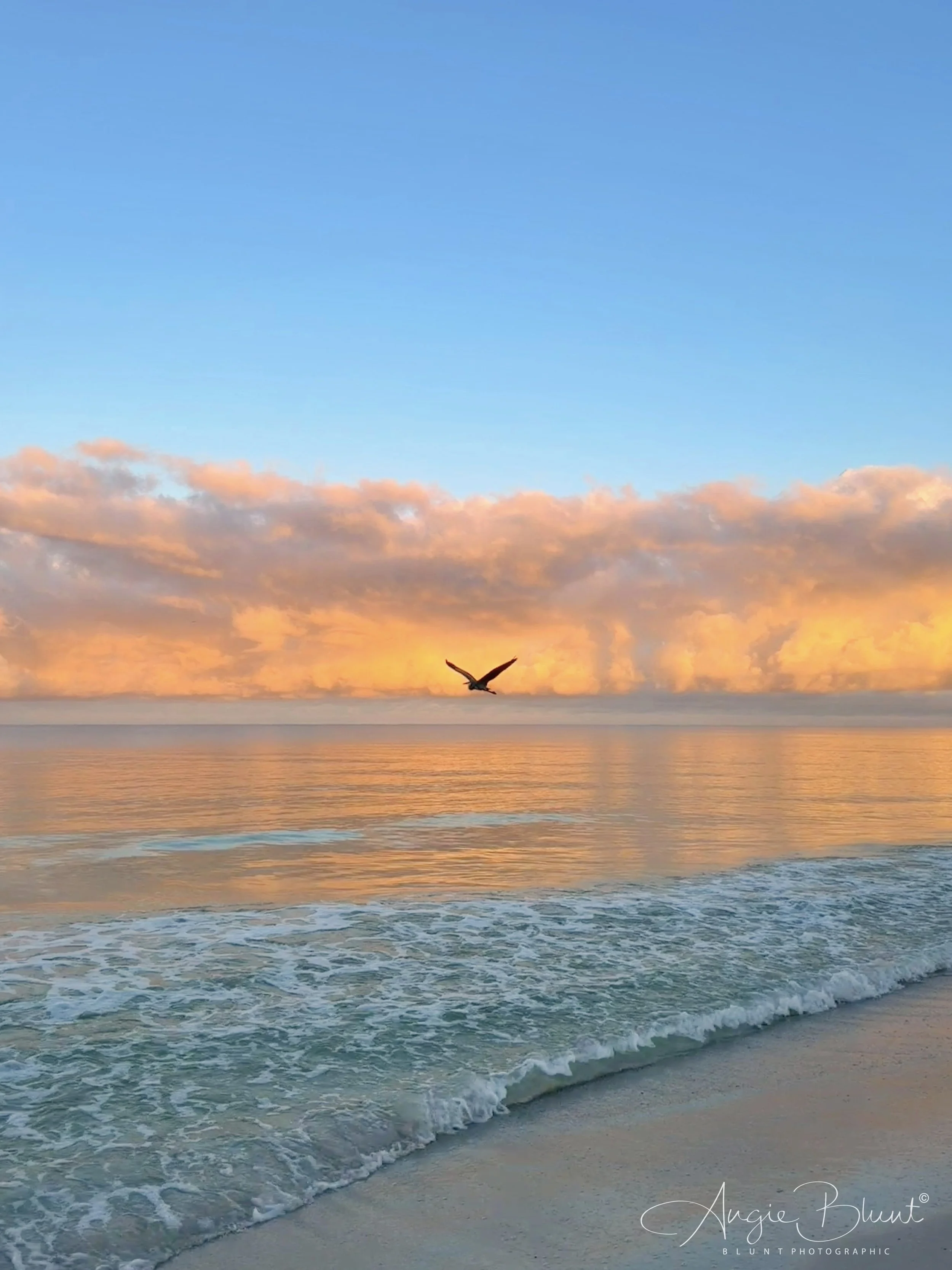 eZy Watermark_29-09-2025_03-34-31-9150PM.JPG