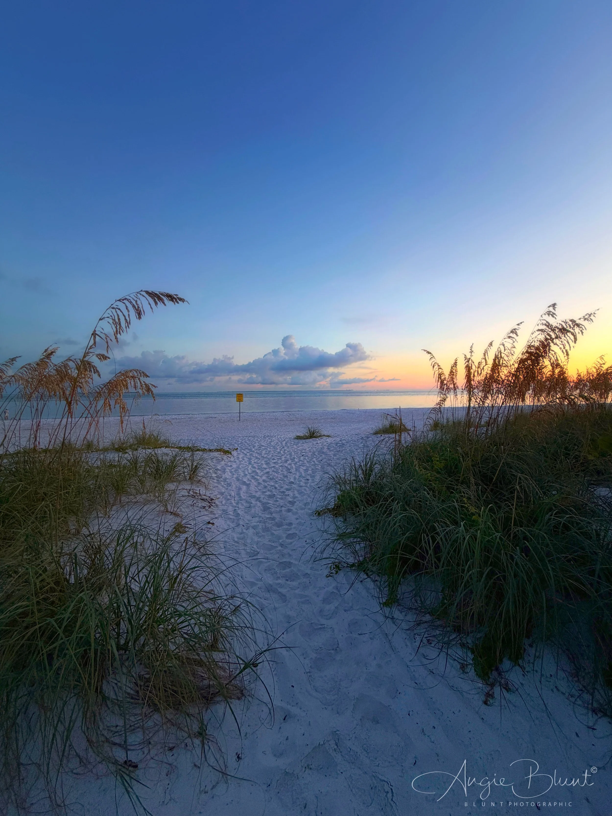 eZy Watermark_26-09-2025_09-07-23-9280PM.jpg