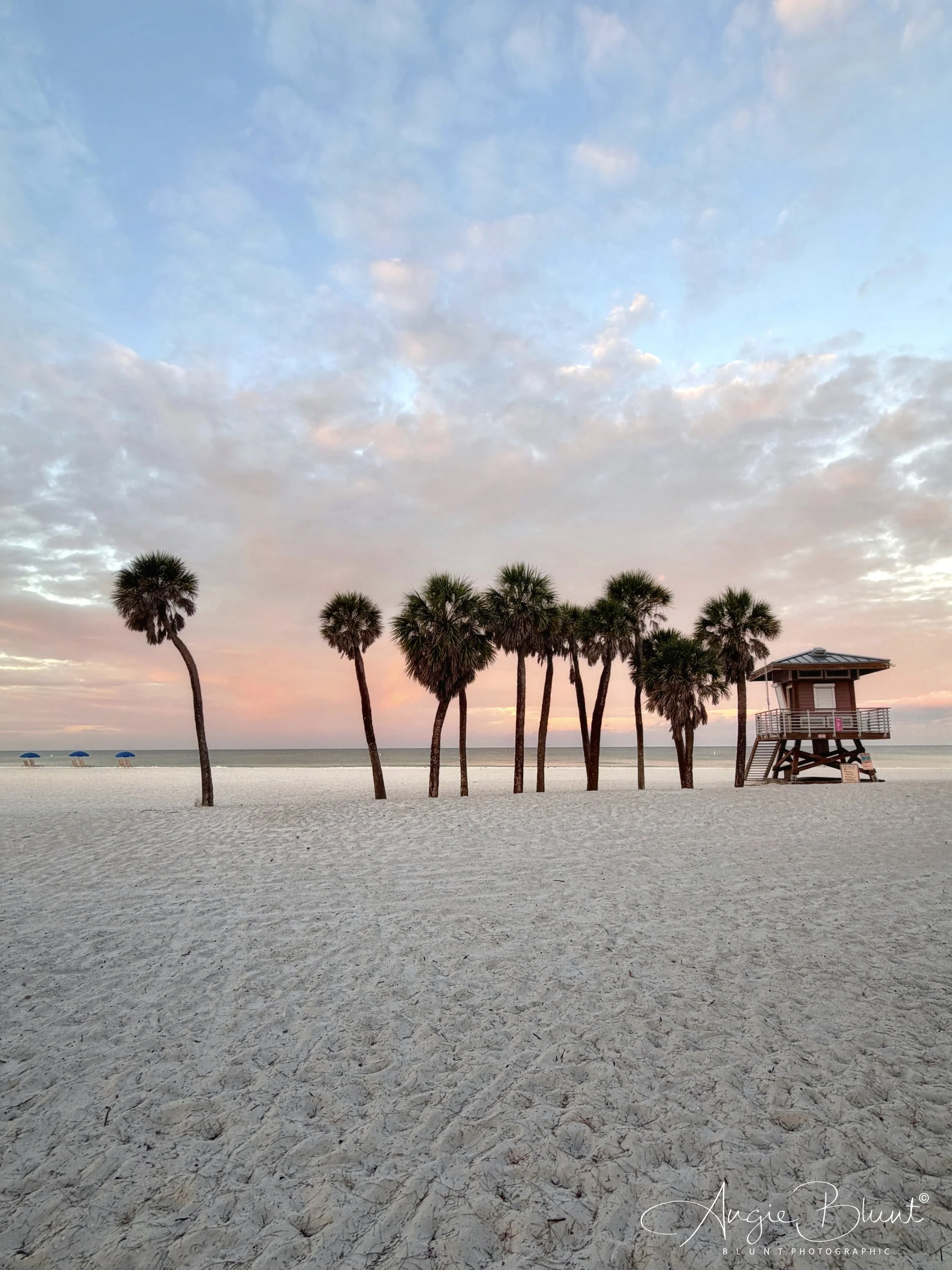 eZy Watermark_01-10-2025_08-03-38-2390AM.jpg