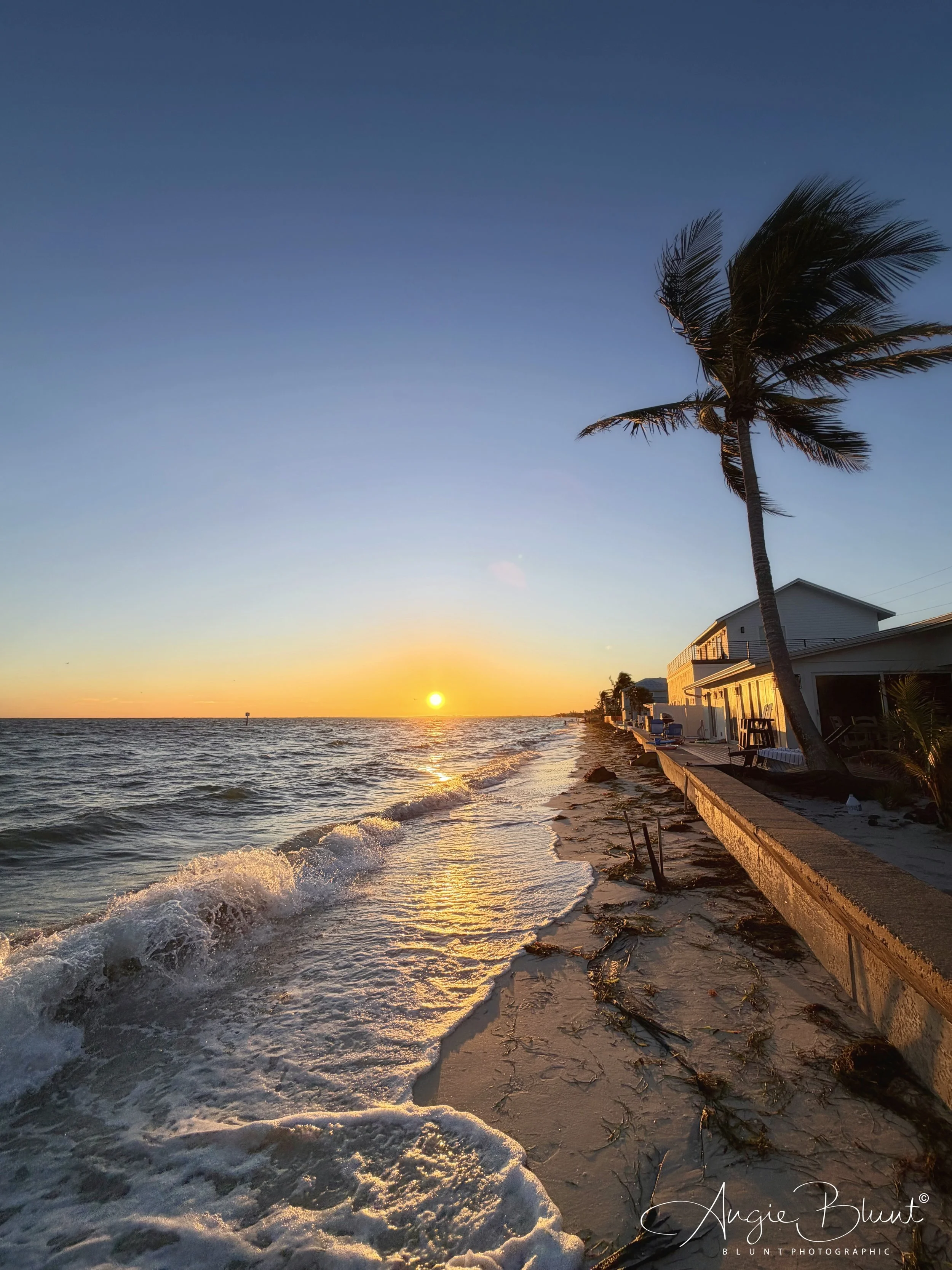 eZy Watermark_13-10-2025_08-54-29-1480AM.jpg