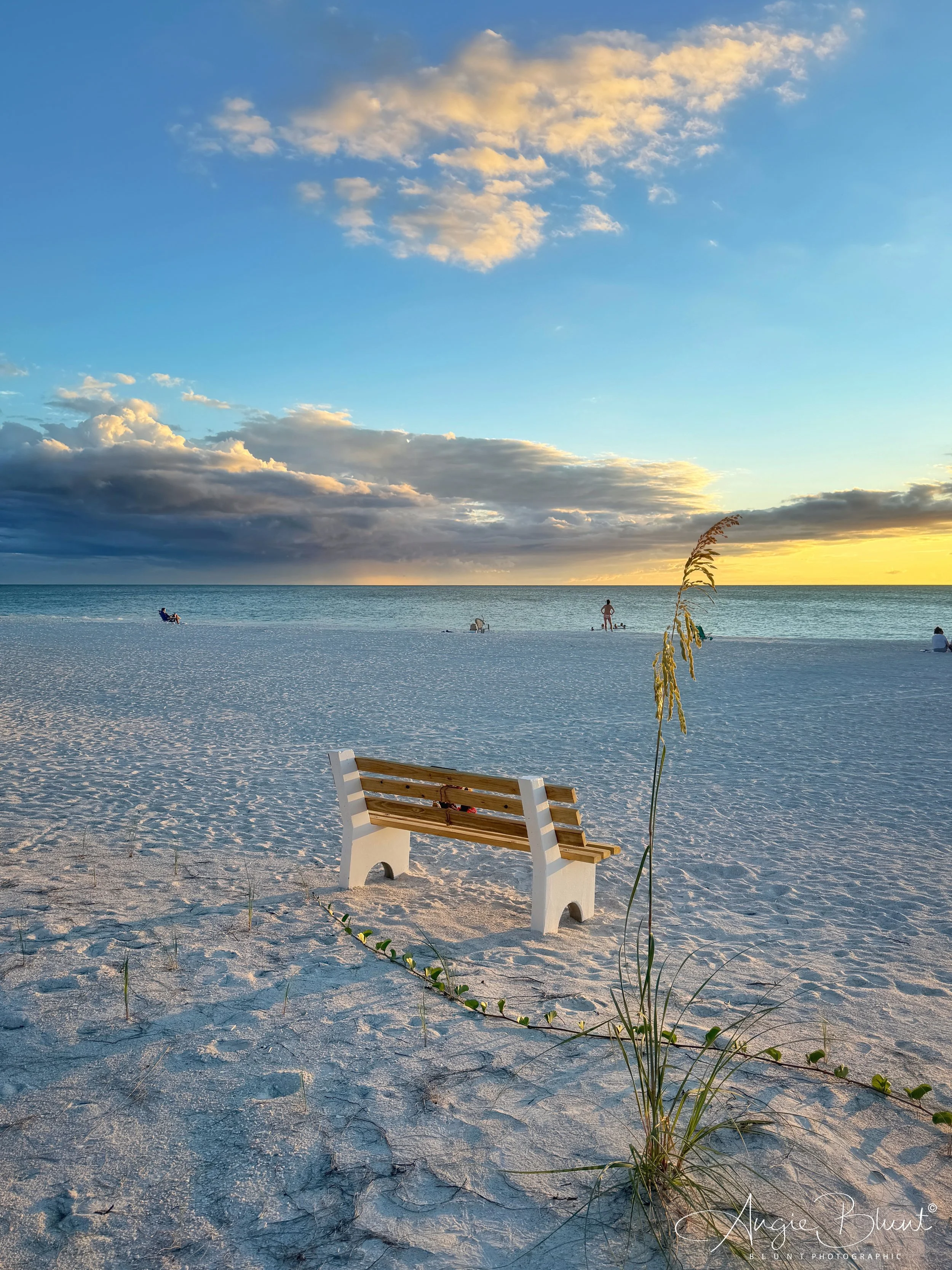 eZy Watermark_10-10-2025_10-15-08-7740PM.jpg