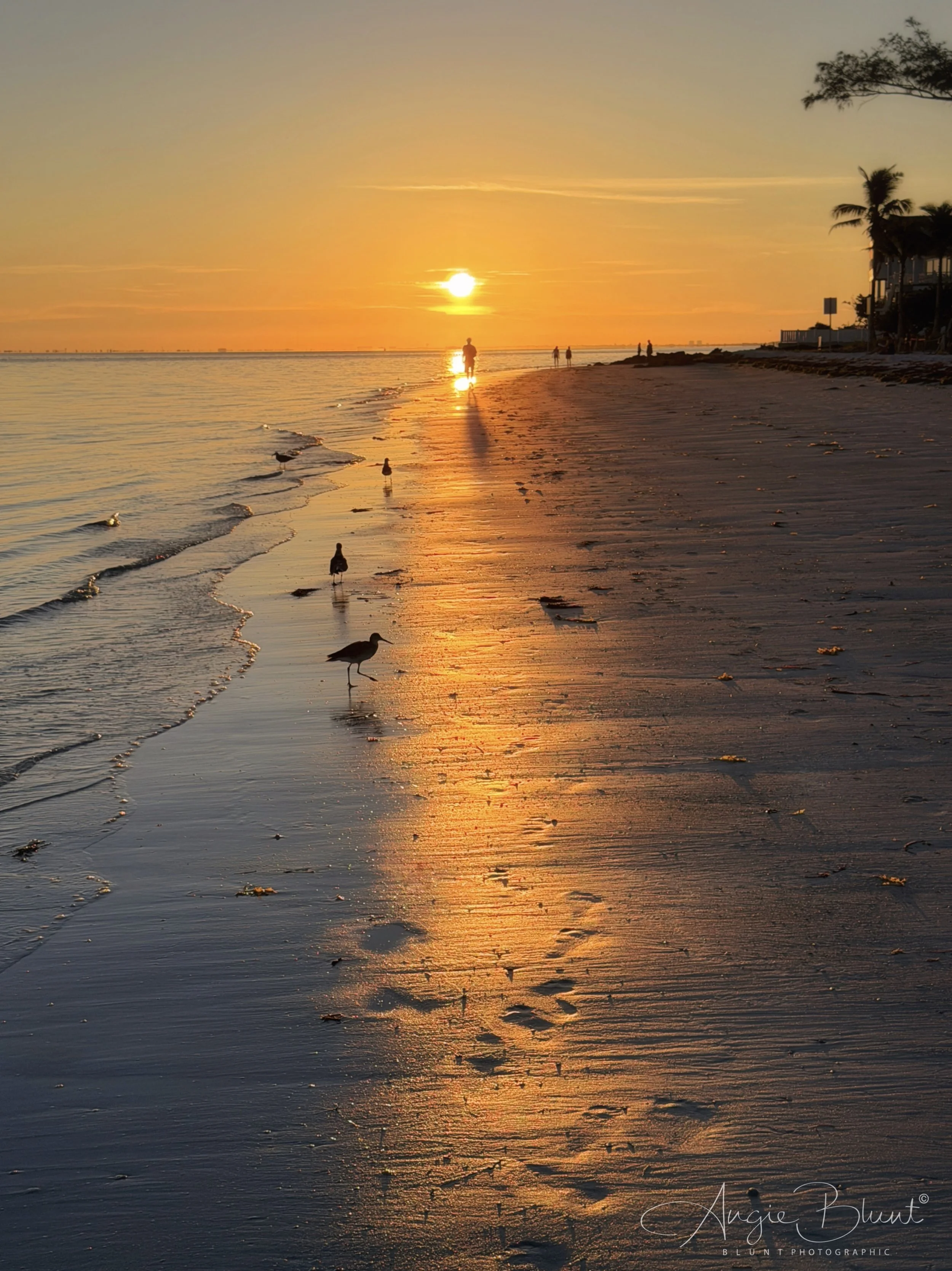 eZy Watermark_28-09-2025_09-18-08-2360PM.jpg