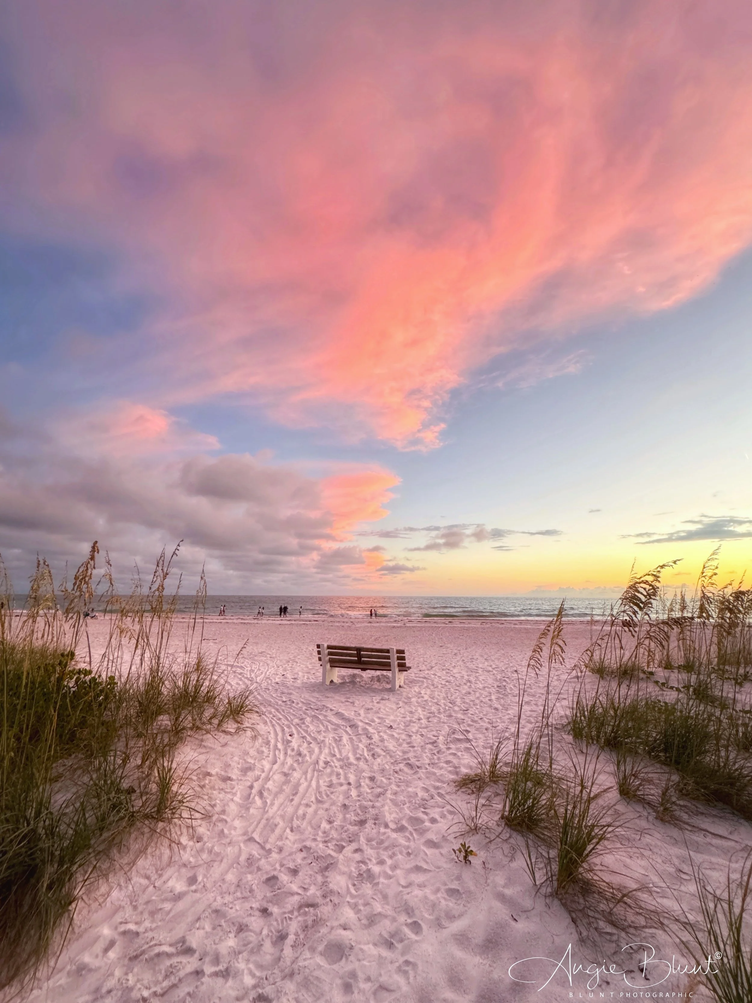 pinksunsetbench06142024.jpg