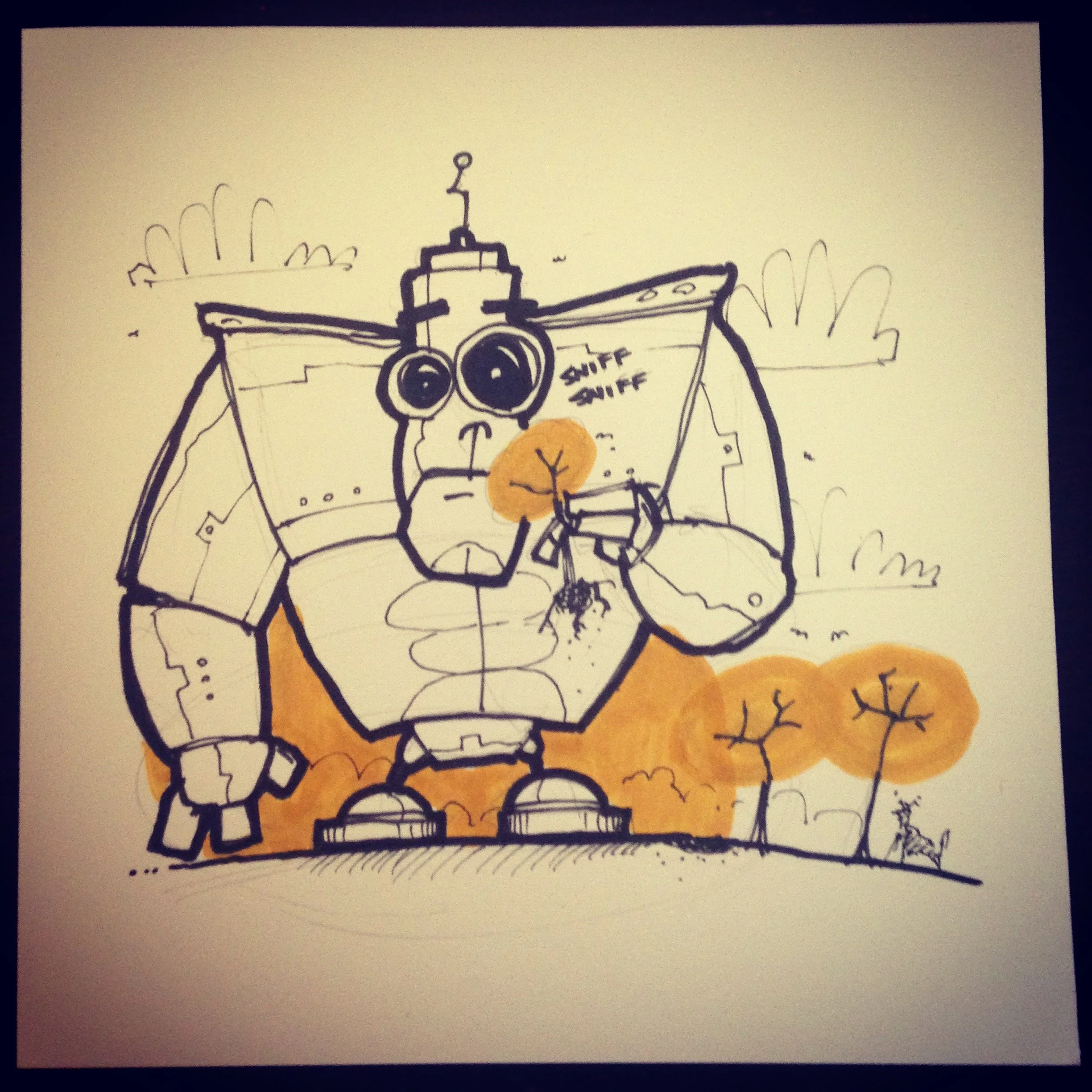 2017-05-22 14.48.20-2.jpg