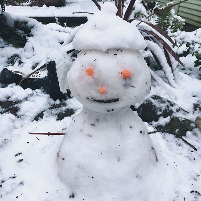 snow in March...in Portland? ⛄️