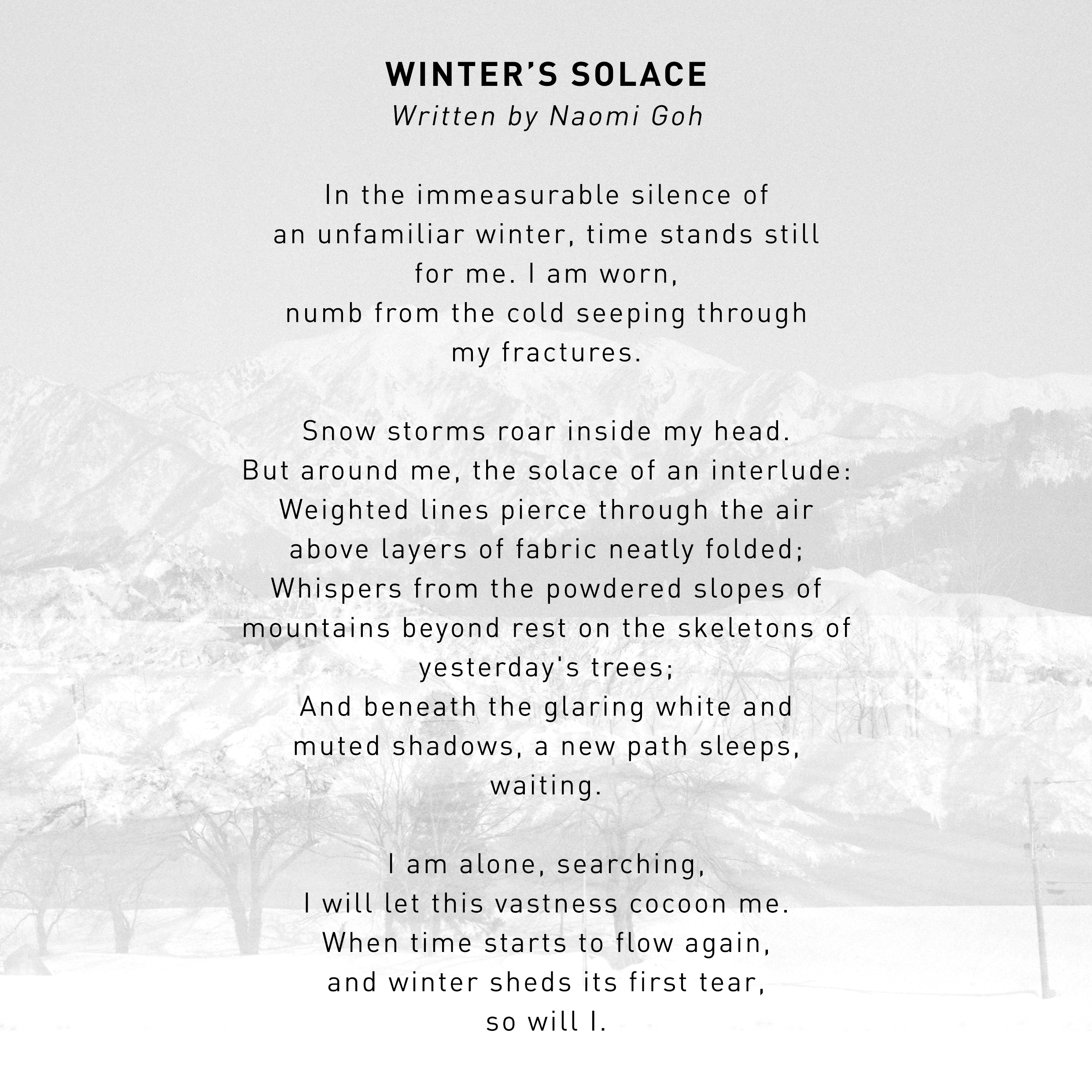 Winters Solace Writing_InstaUpload.jpg
