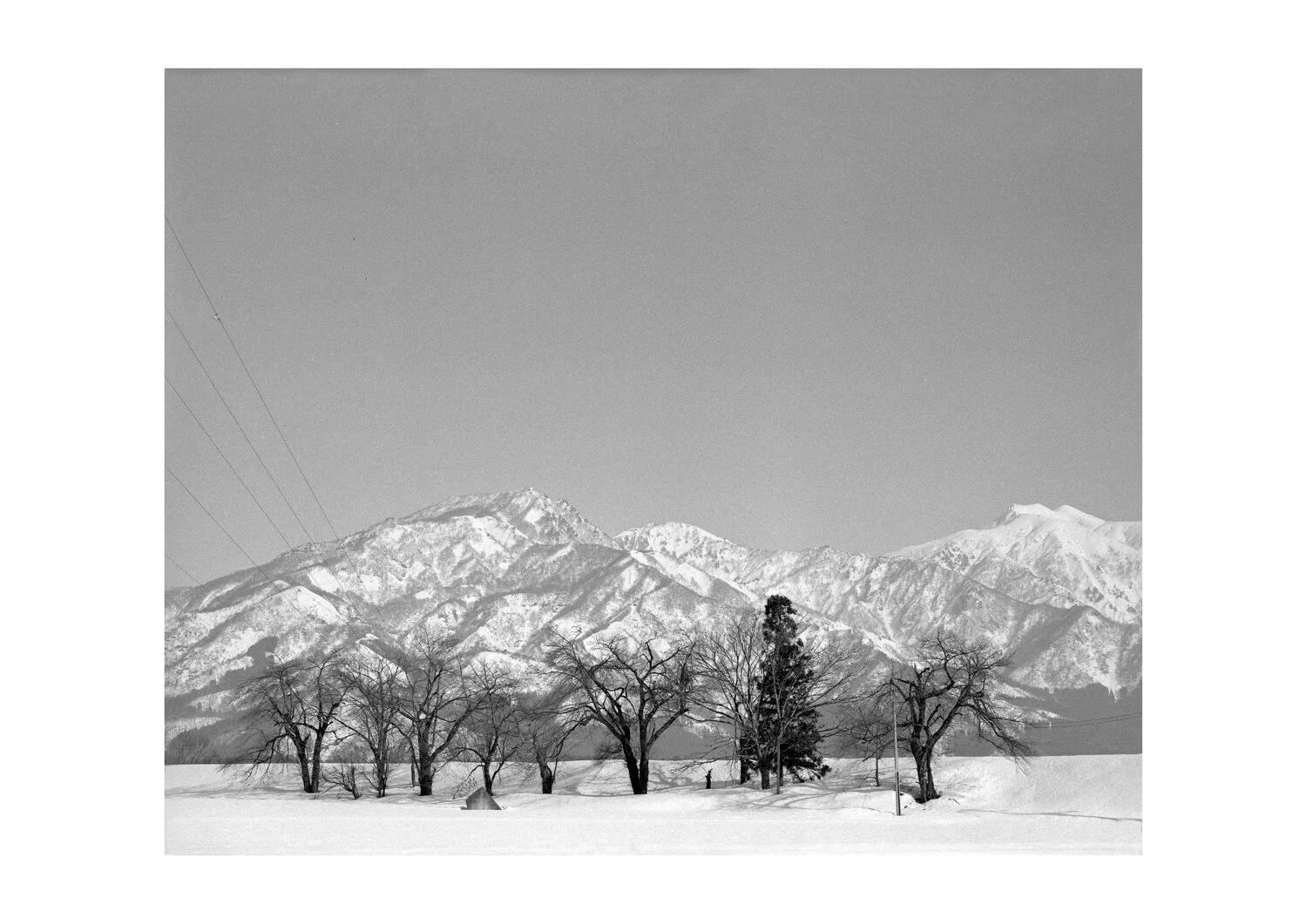 YaoYeong_Winter'sSolaceSeries_Aug2019_Photograph.jpg