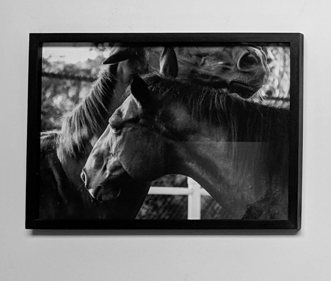 Endearment - Framed.jpg