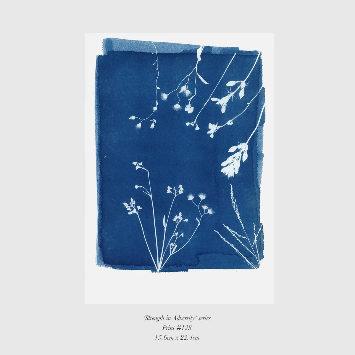 Print123-Beautiful Weeds.jpg