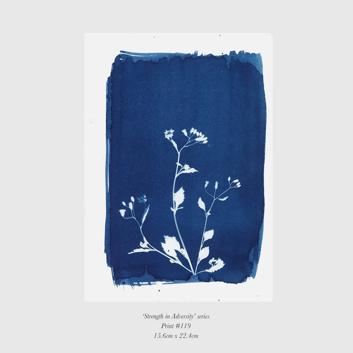 Print119-Beautiful Weeds.jpg