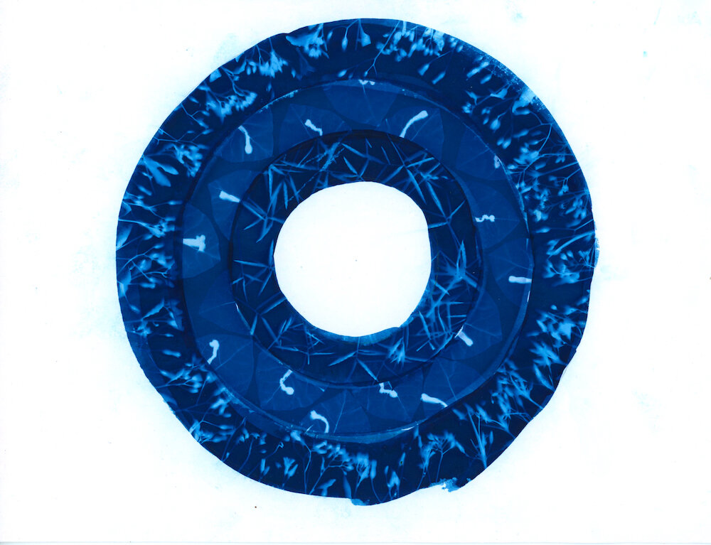 Cyanotype-143.jpg